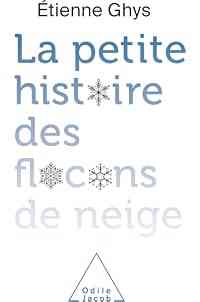 La Petite histoire des flocons de neige