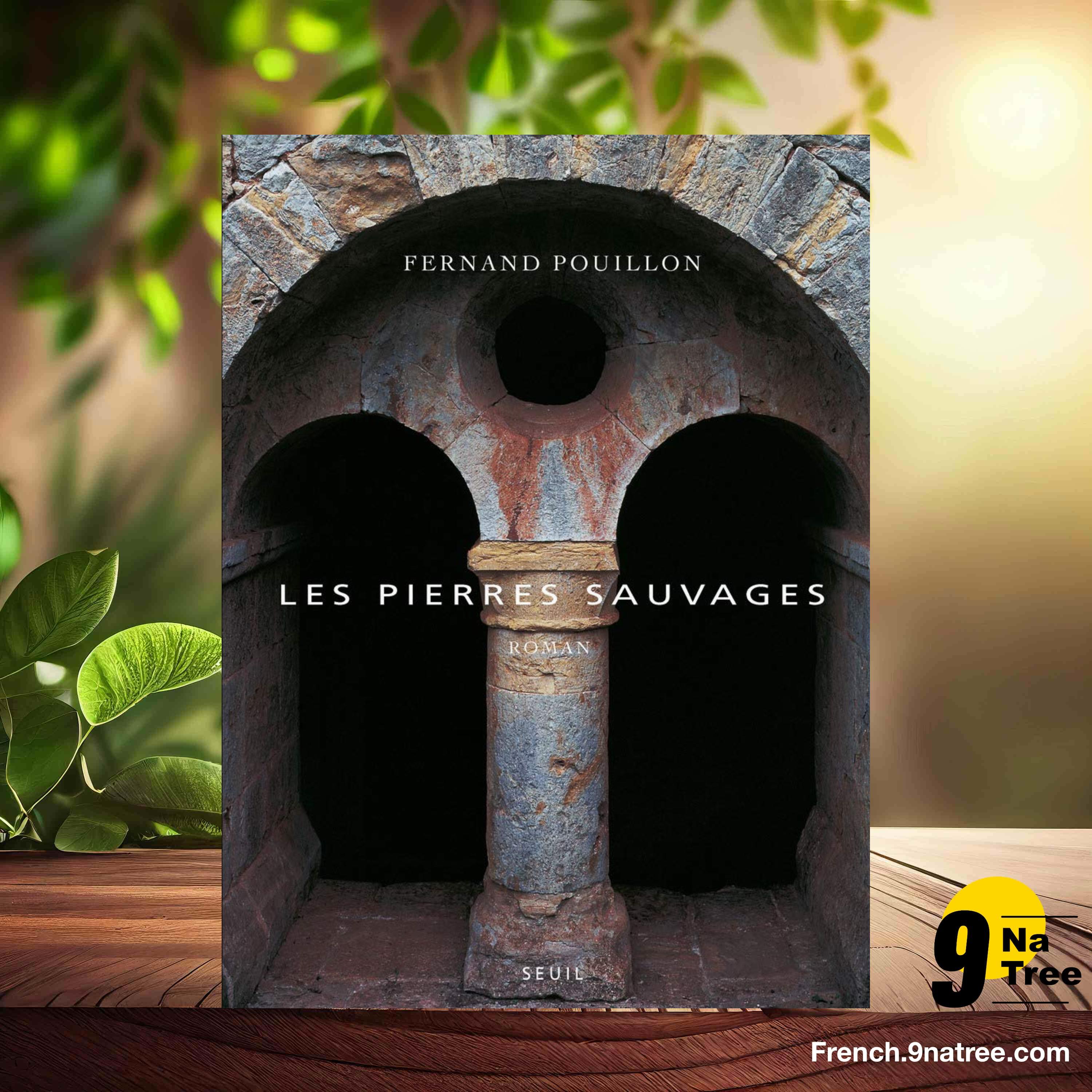 [Critique] Les pierres sauvages (Fernand Pouillon) Résumé. episode artwork