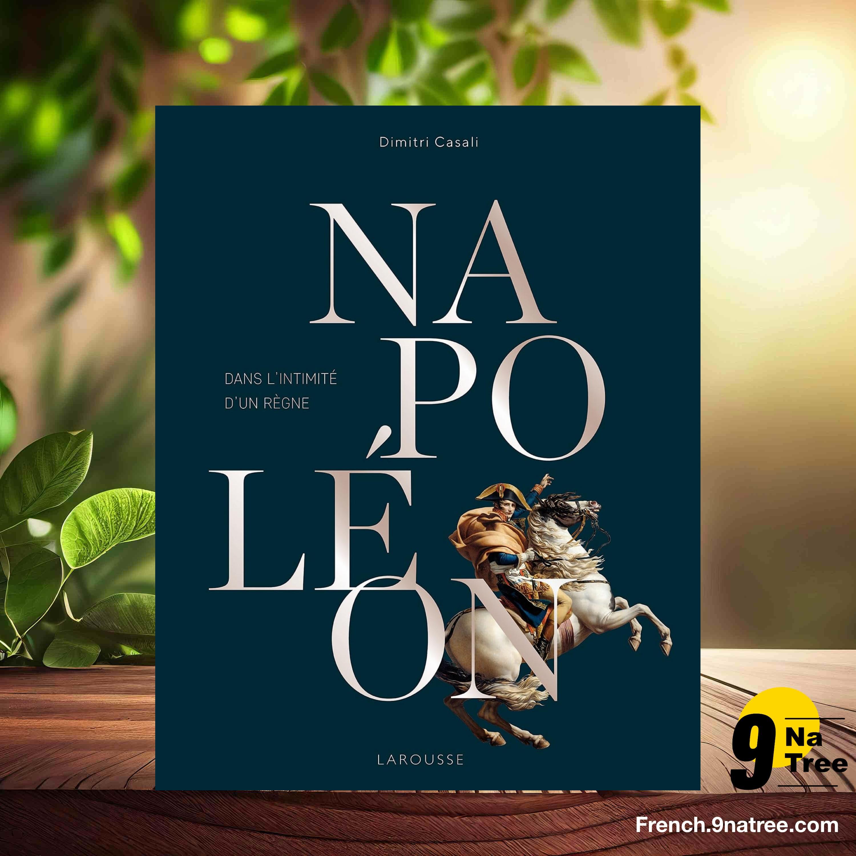 [Critique] Napoléon, dans l'intimité d'un règne (Dimitri Casali) Résumé. episode artwork