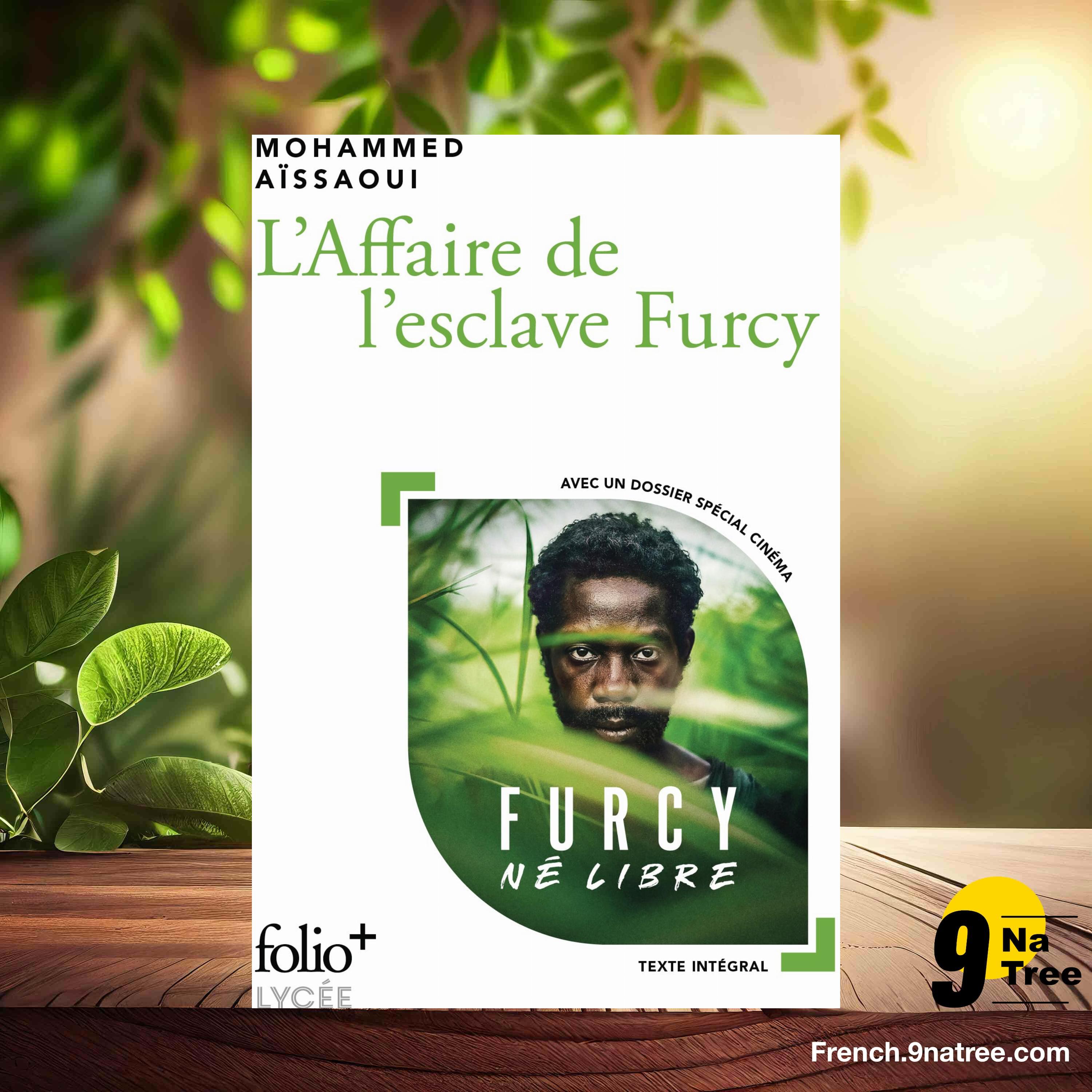 [Critique] L'affaire de l'esclave Furcy (Mohammed Aïssaoui) Résumé. episode artwork
