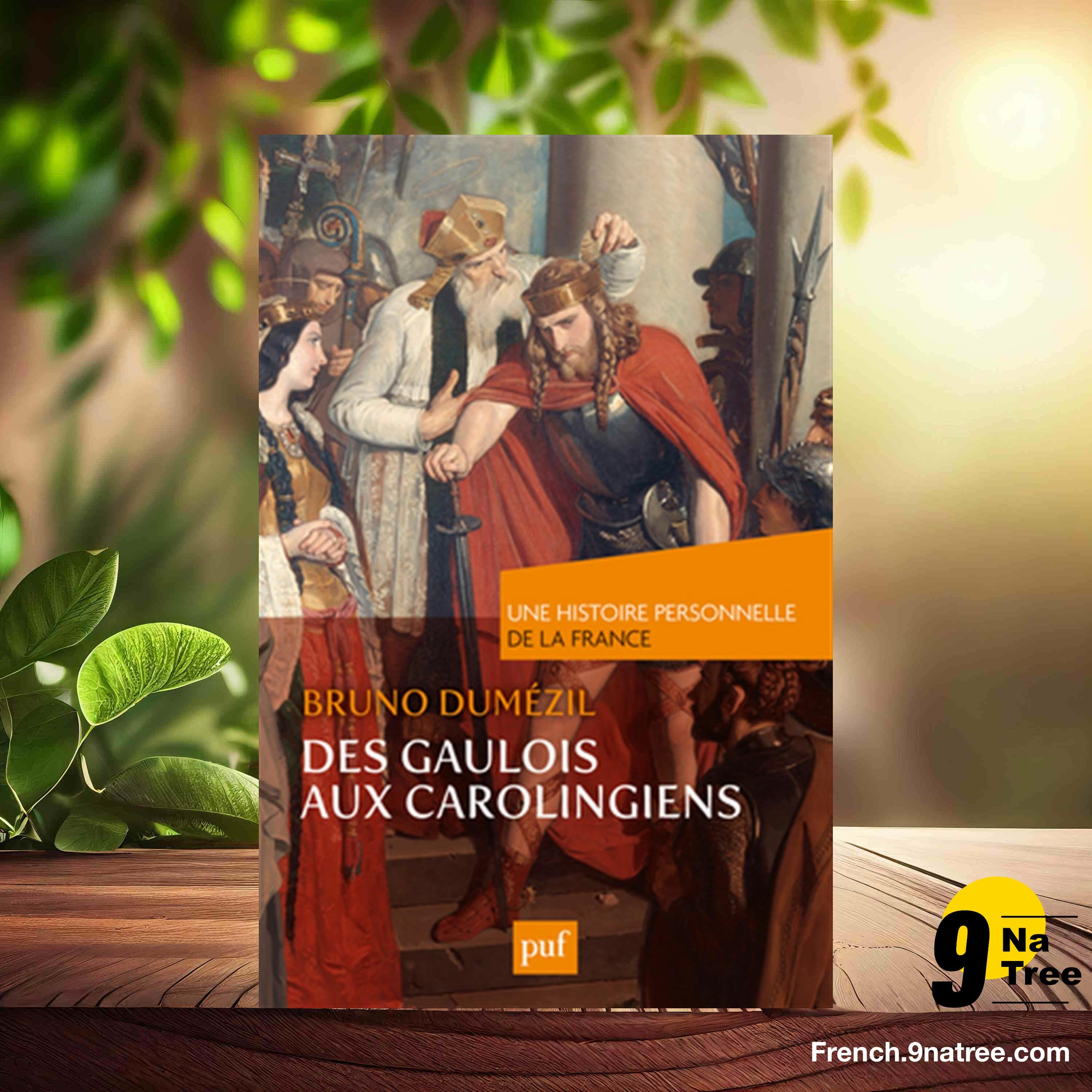 [Critique] Des Gaulois aux Carolingiens  (Bruno Dumézil) Résumé. episode artwork