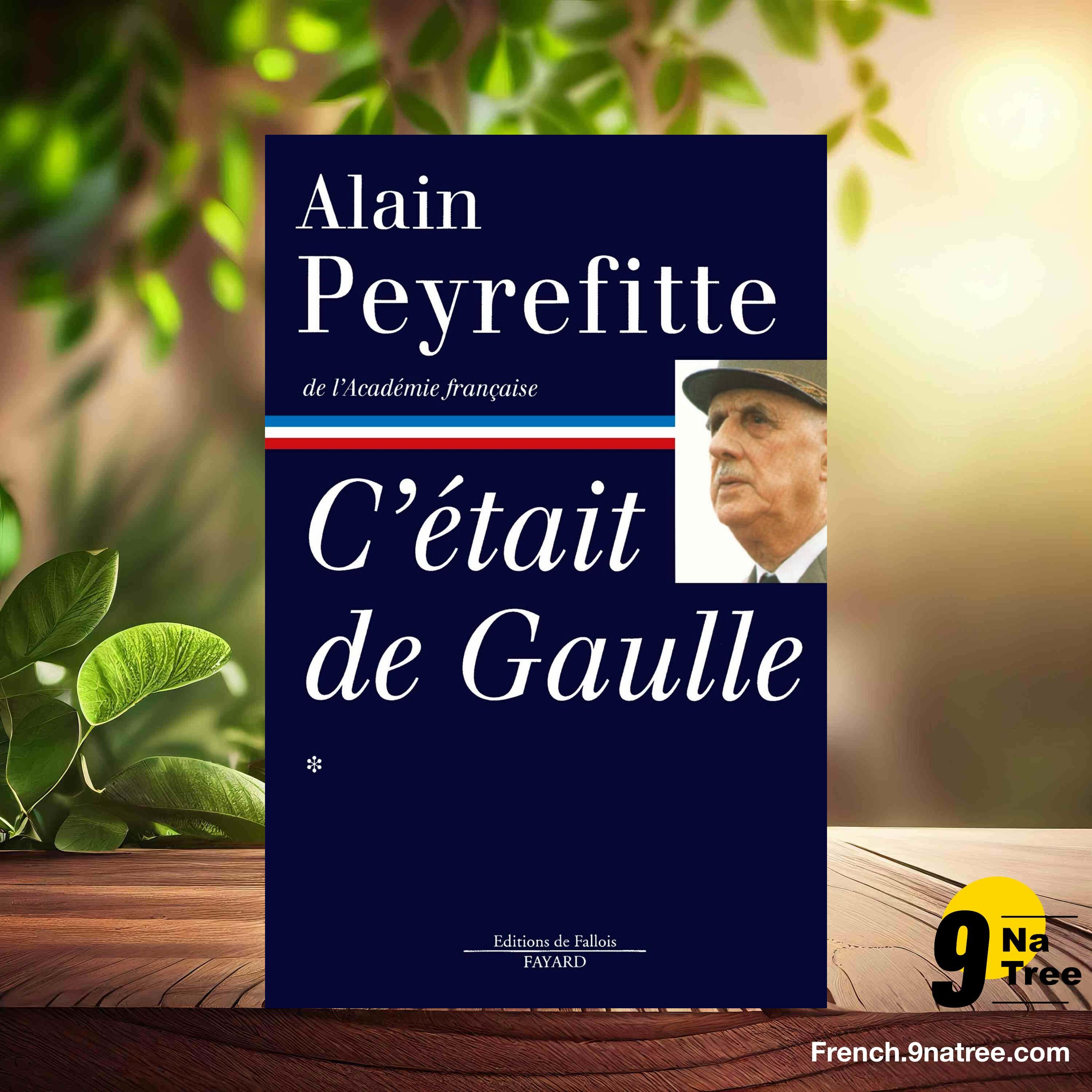 [Critique] C'était De Gaulle, tome 1 (Alain Peyrefitte) Résumé. episode artwork