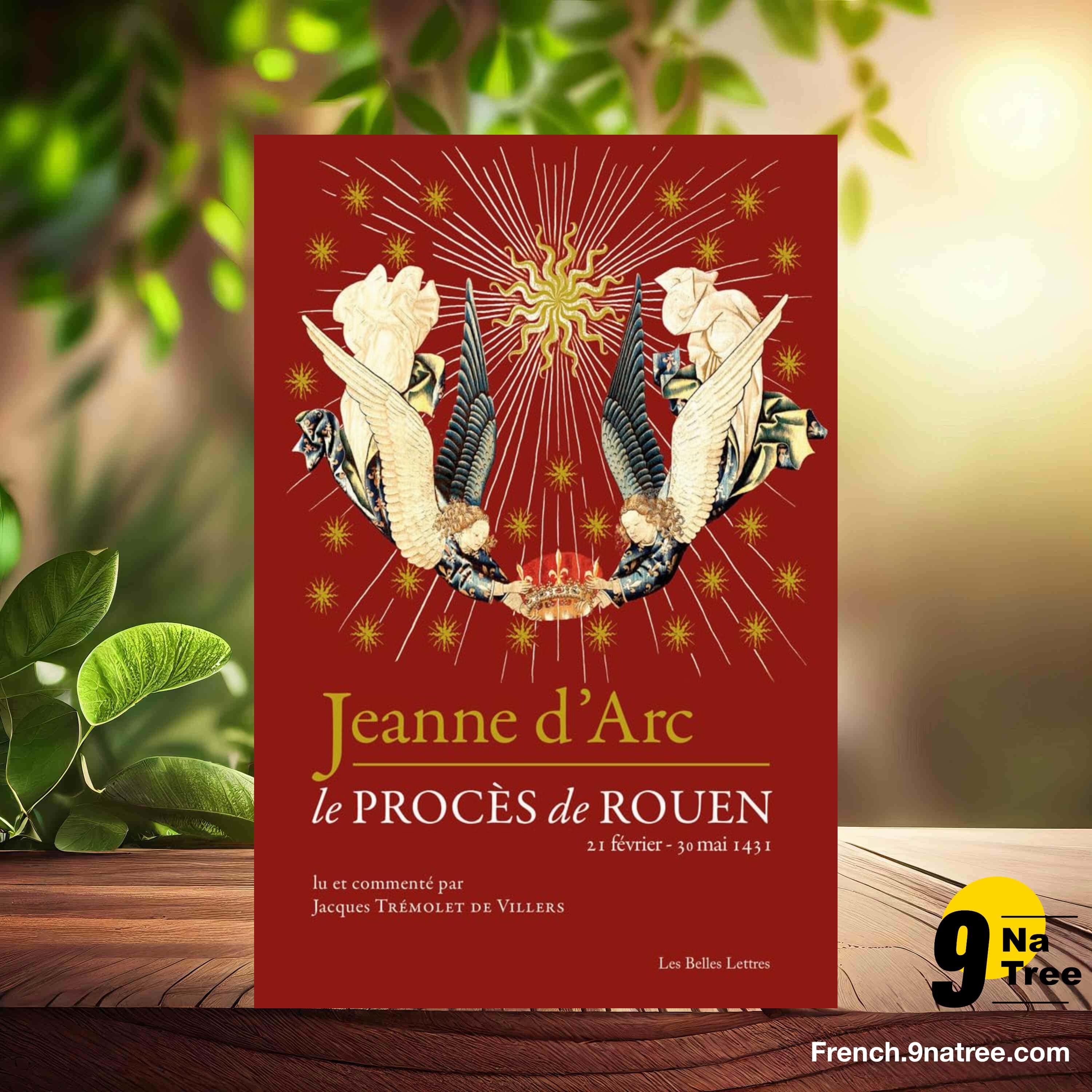 [Critique] Jeanne d'Arc: Le procès de Rouen  (Olivier Sers) Résumé. episode artwork