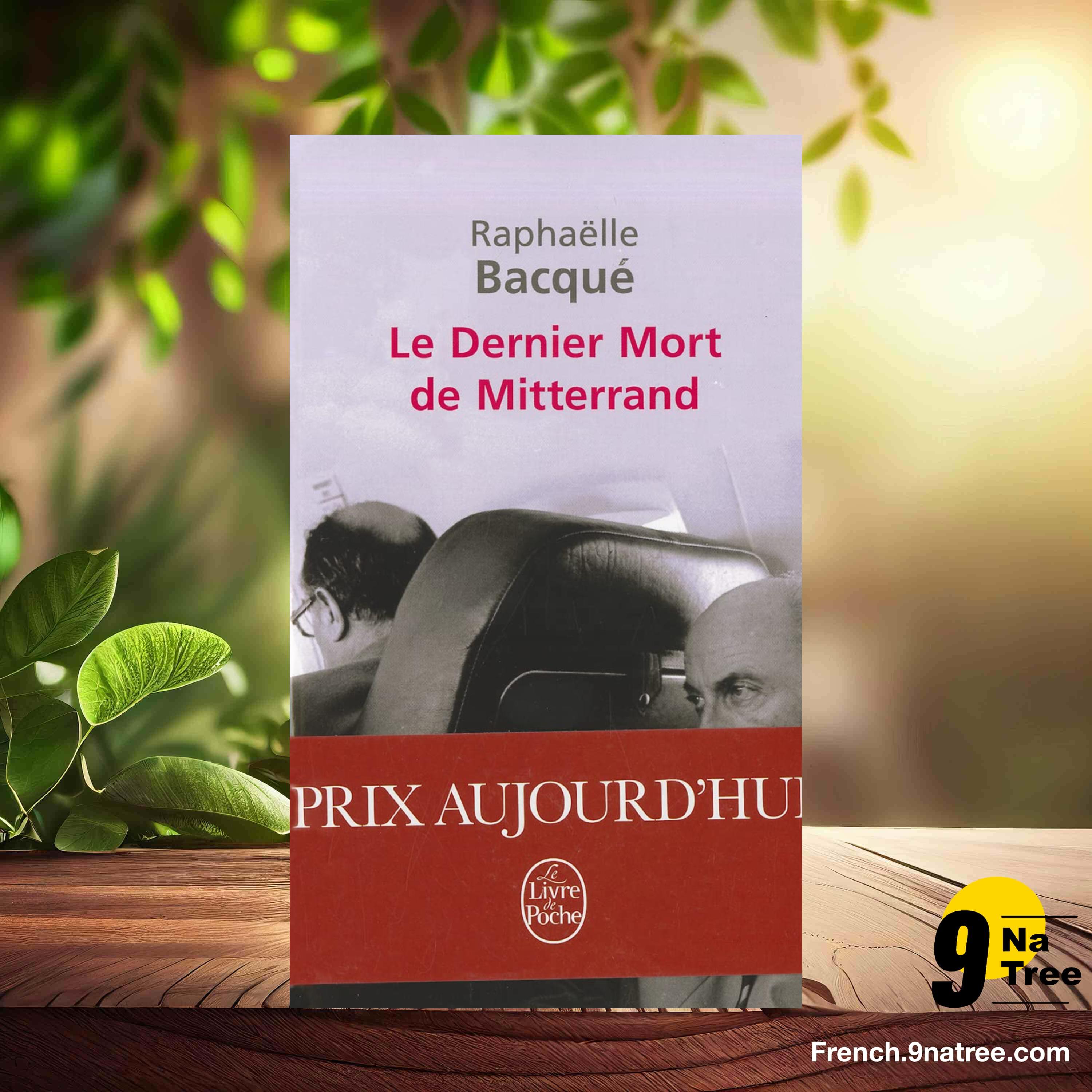 [Critique] Le dernier mort de mitterrand (Raphaëlle Bacqué) Résumé. episode artwork