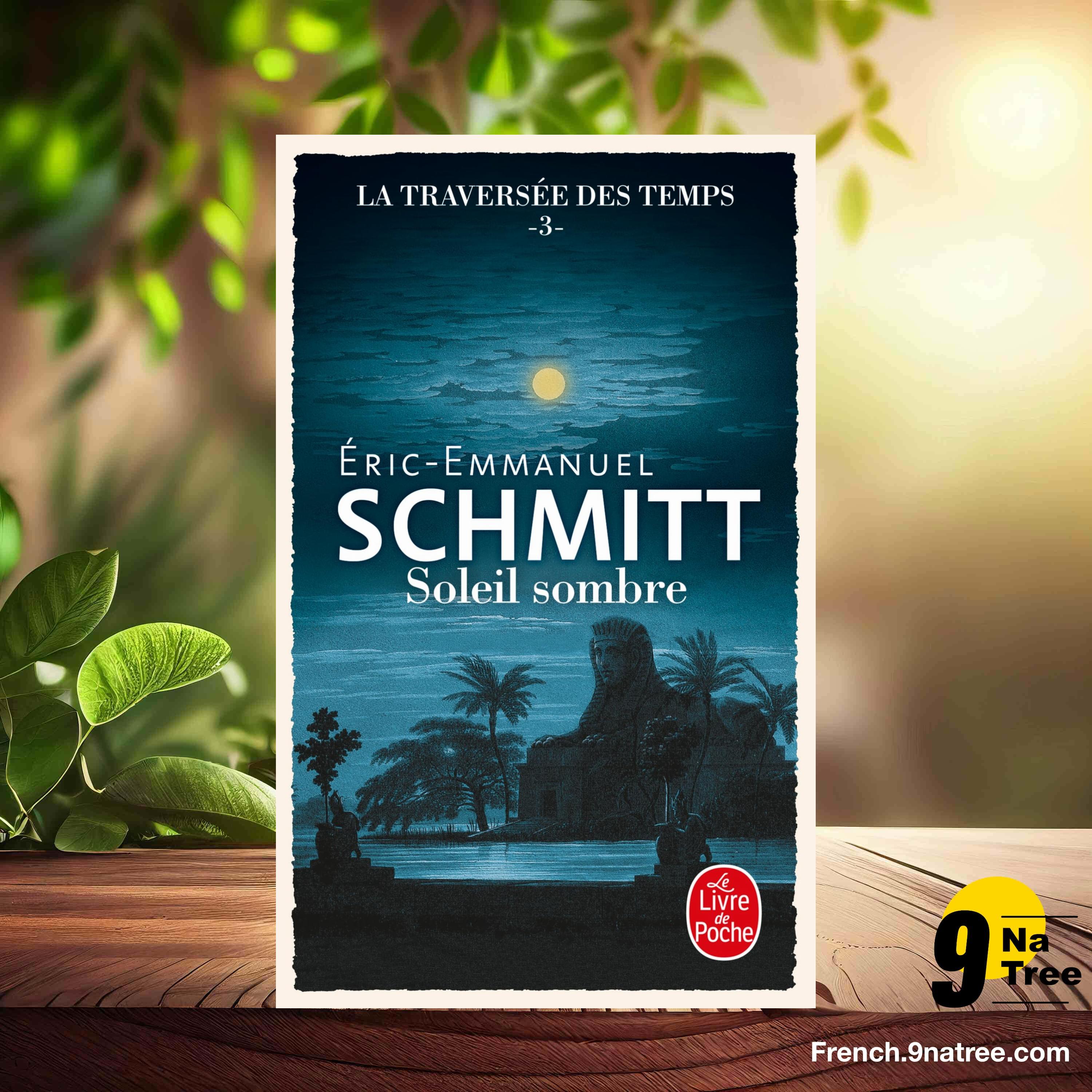 [Critique] Soleil sombre  (Éric-Emmanuel Schmitt) Résumé. episode artwork