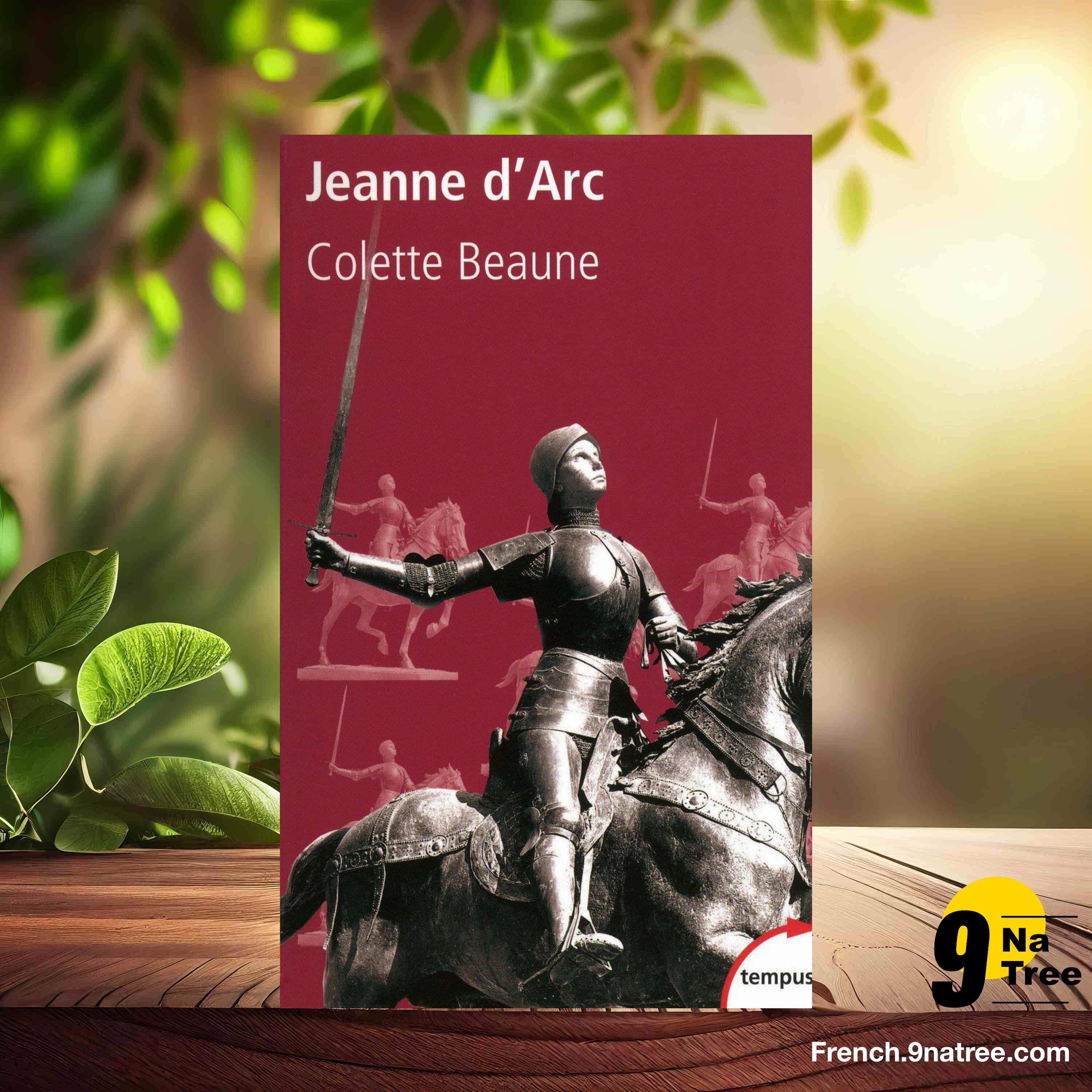 [Critique] Jeanne d'Arc (Colette Beaune) Résumé. episode artwork