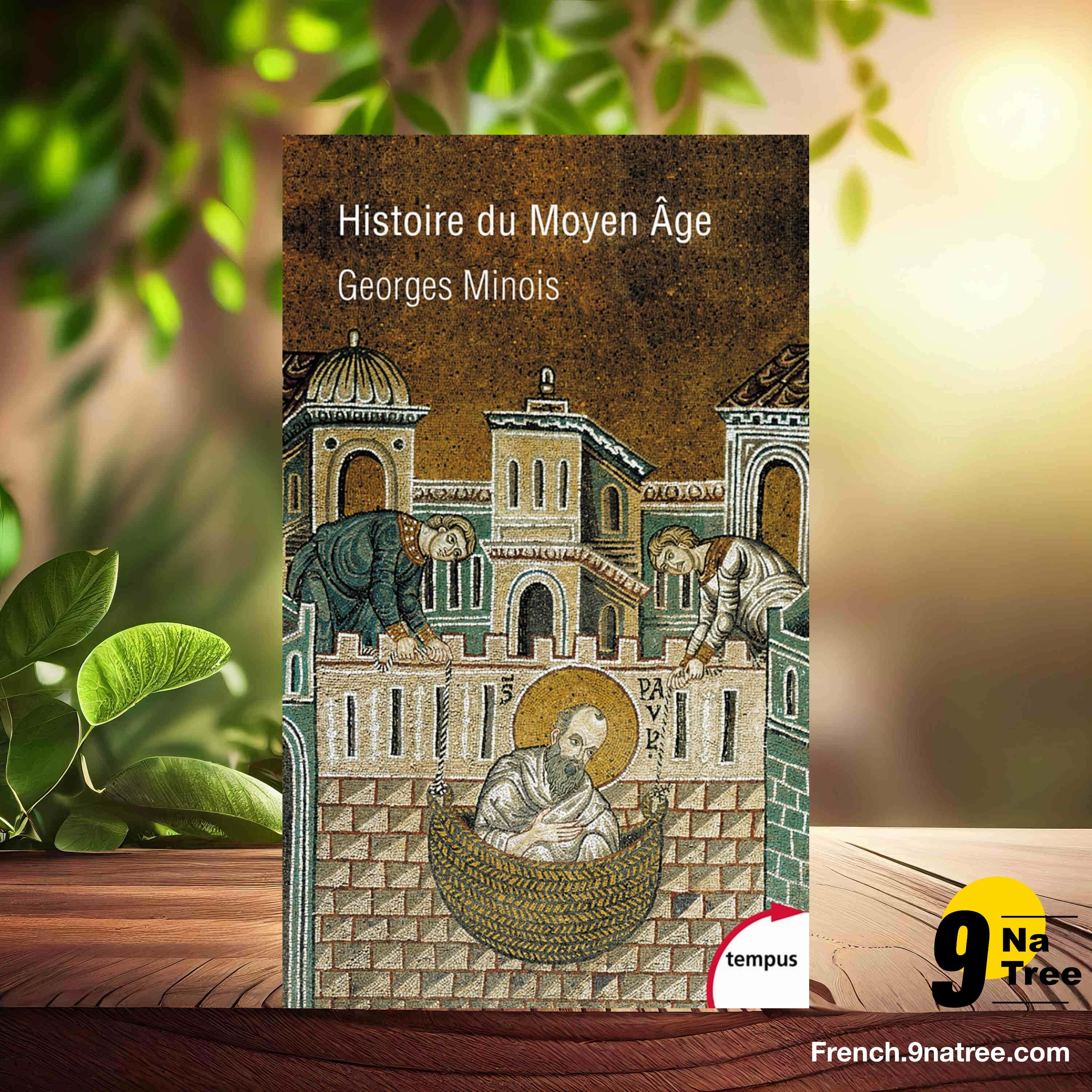 [Critique] Histoire du Moyen Âge (Georges Minois) Résumé. episode artwork