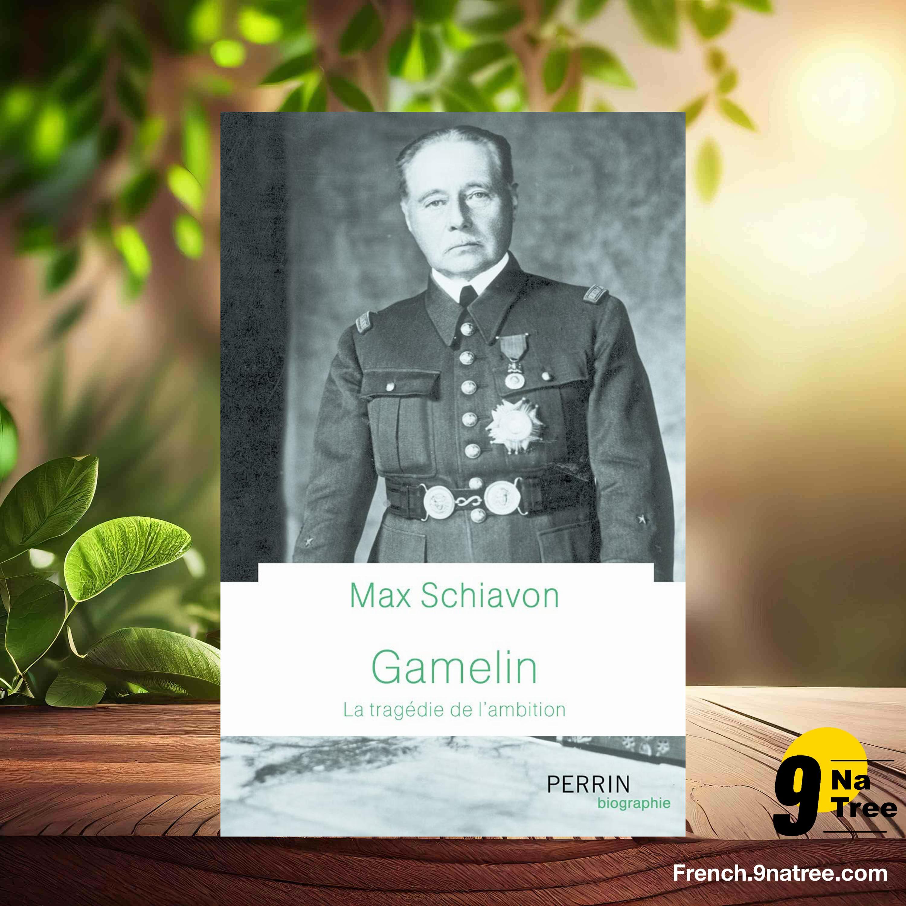 [Critique] Gamelin : La tragédie de l'ambition (Max Schiavon) Résumé. episode artwork