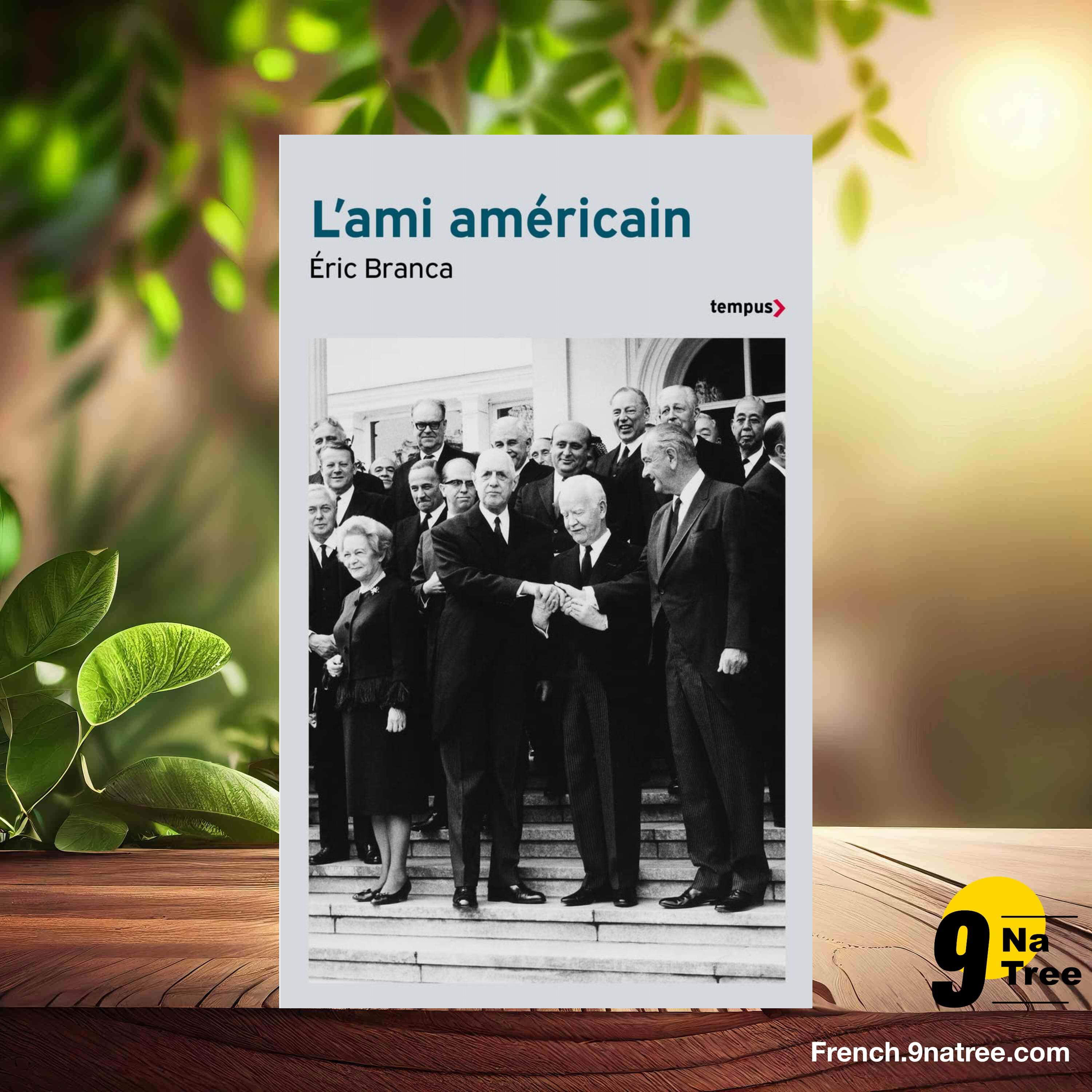 [Critique] L'ami américain (Éric Branca) Résumé. episode artwork