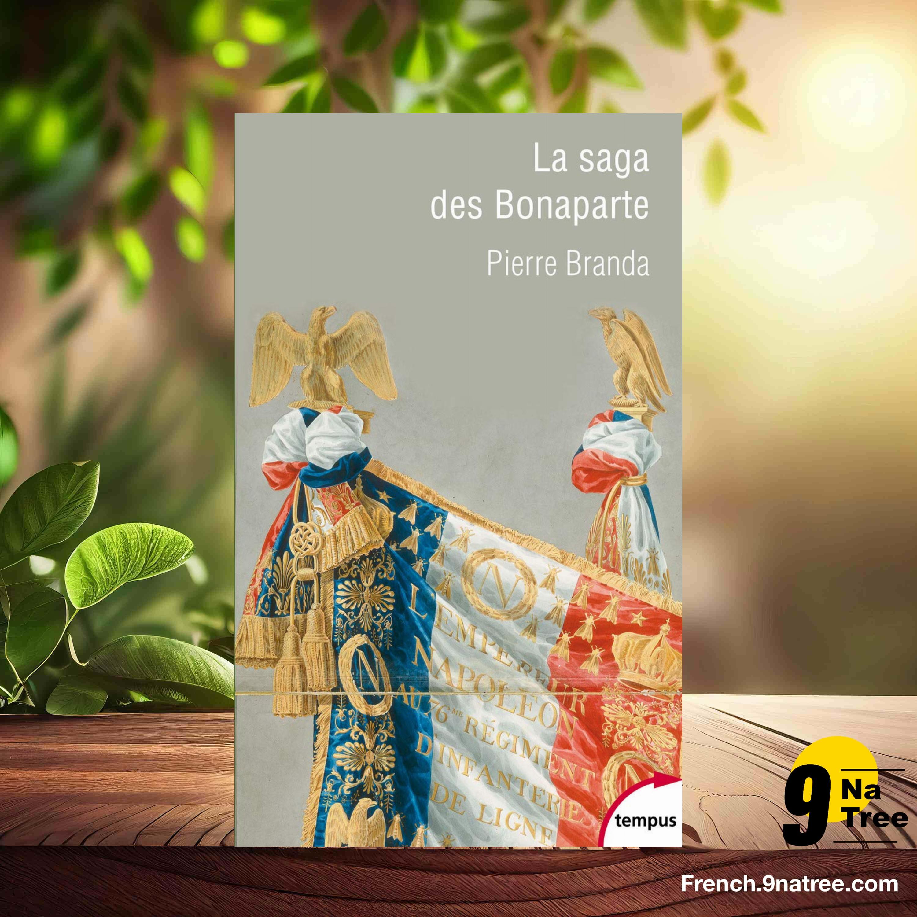 [Critique] La saga des Bonaparte (Pierre Branda) Résumé. episode artwork
