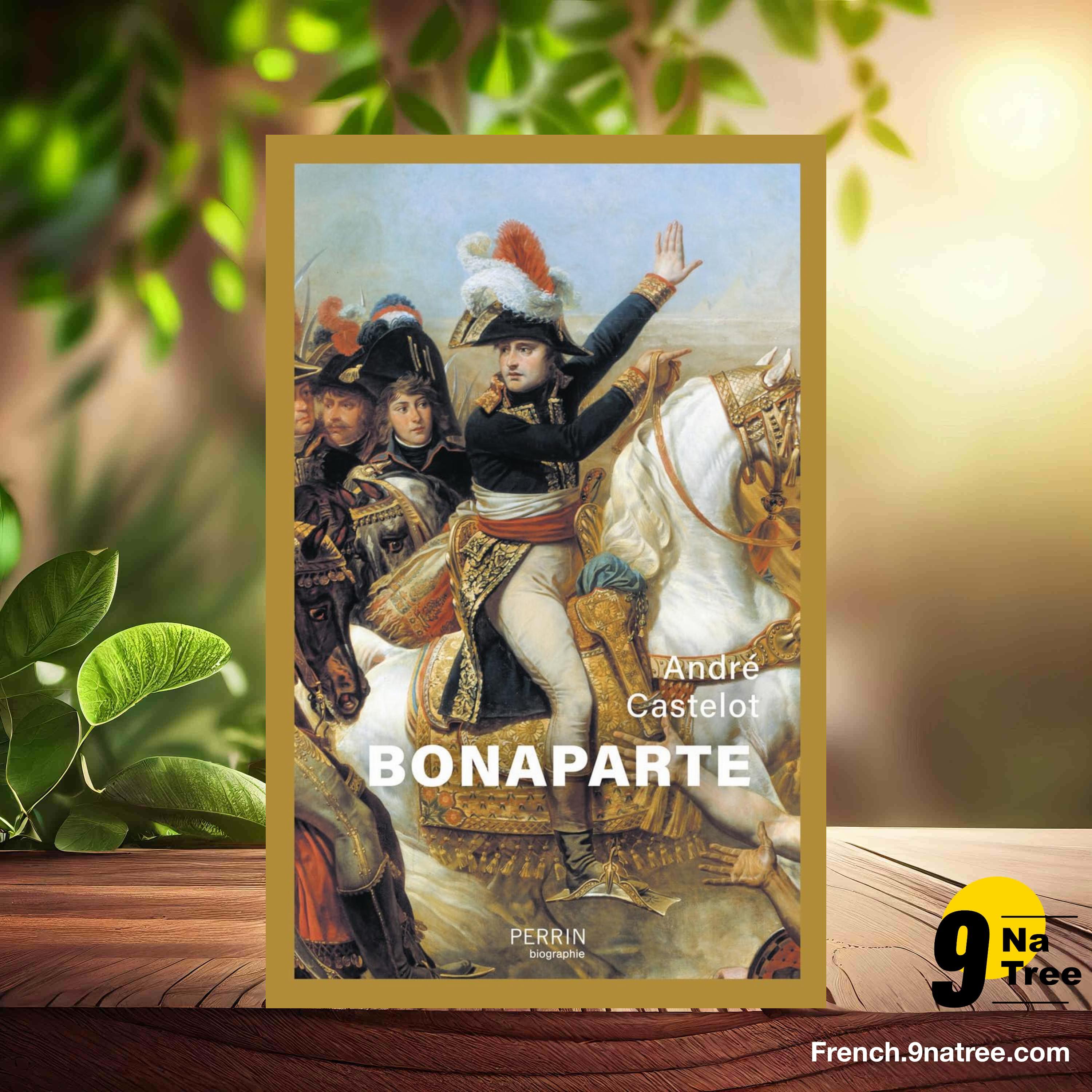[Critique] Bonaparte (André Castelot) Résumé. episode artwork