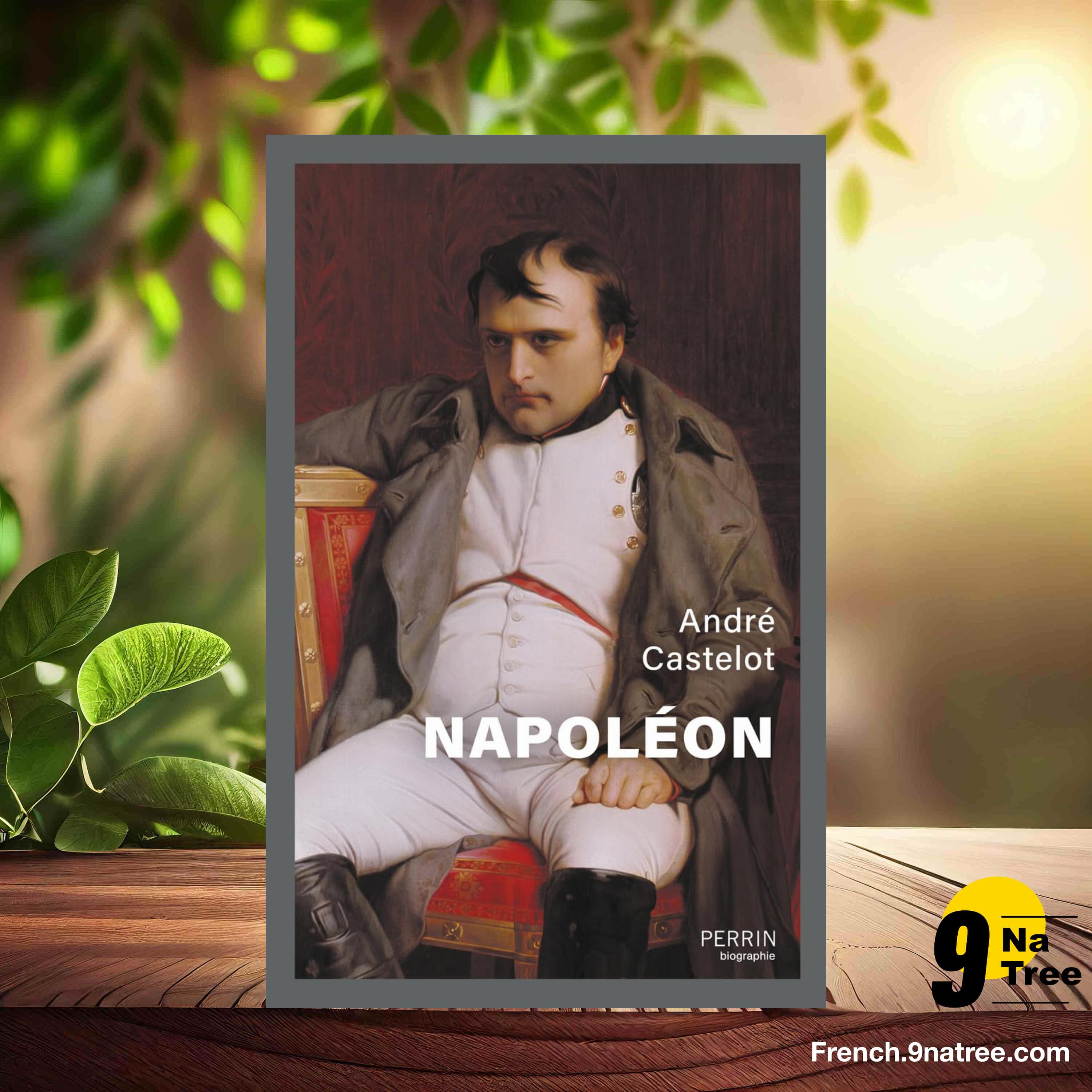 [Critique] Napoléon (André Castelot) Résumé. episode artwork