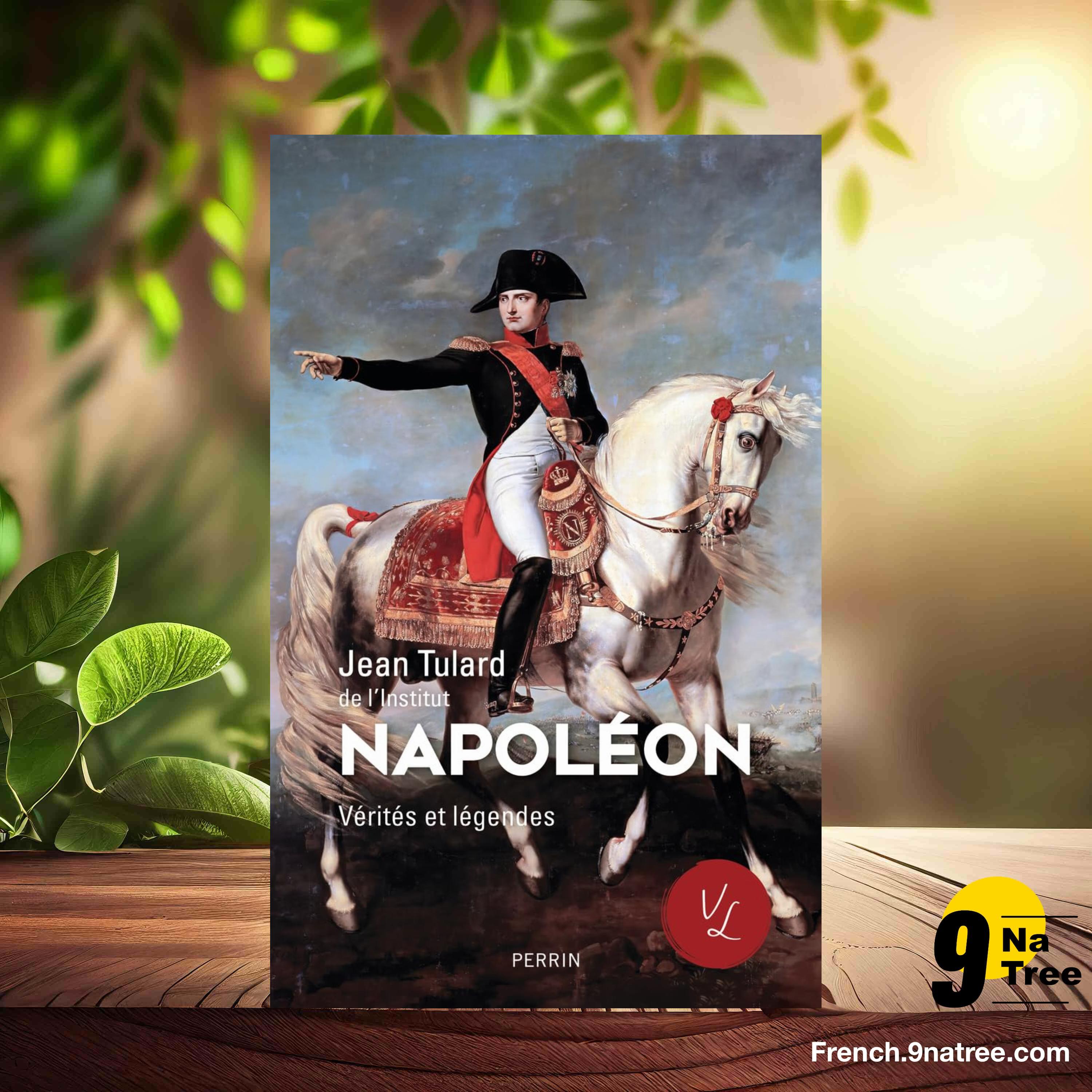 [Critique] Napoléon (Jean Tulard) Résumé. episode artwork