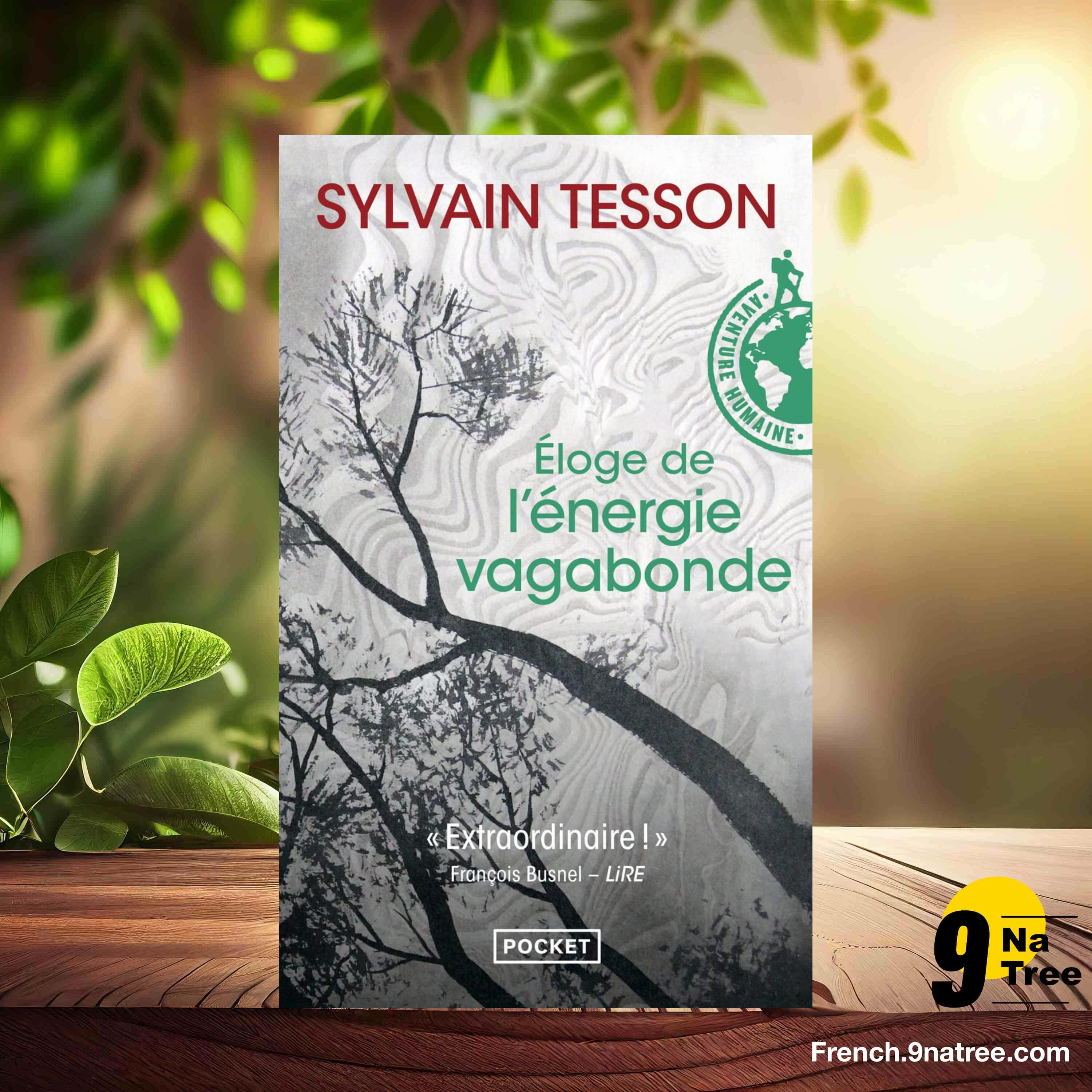 [Critique] Eloge de l'énergie vagabonde (Sylvain Tesson) Résumé. episode artwork
