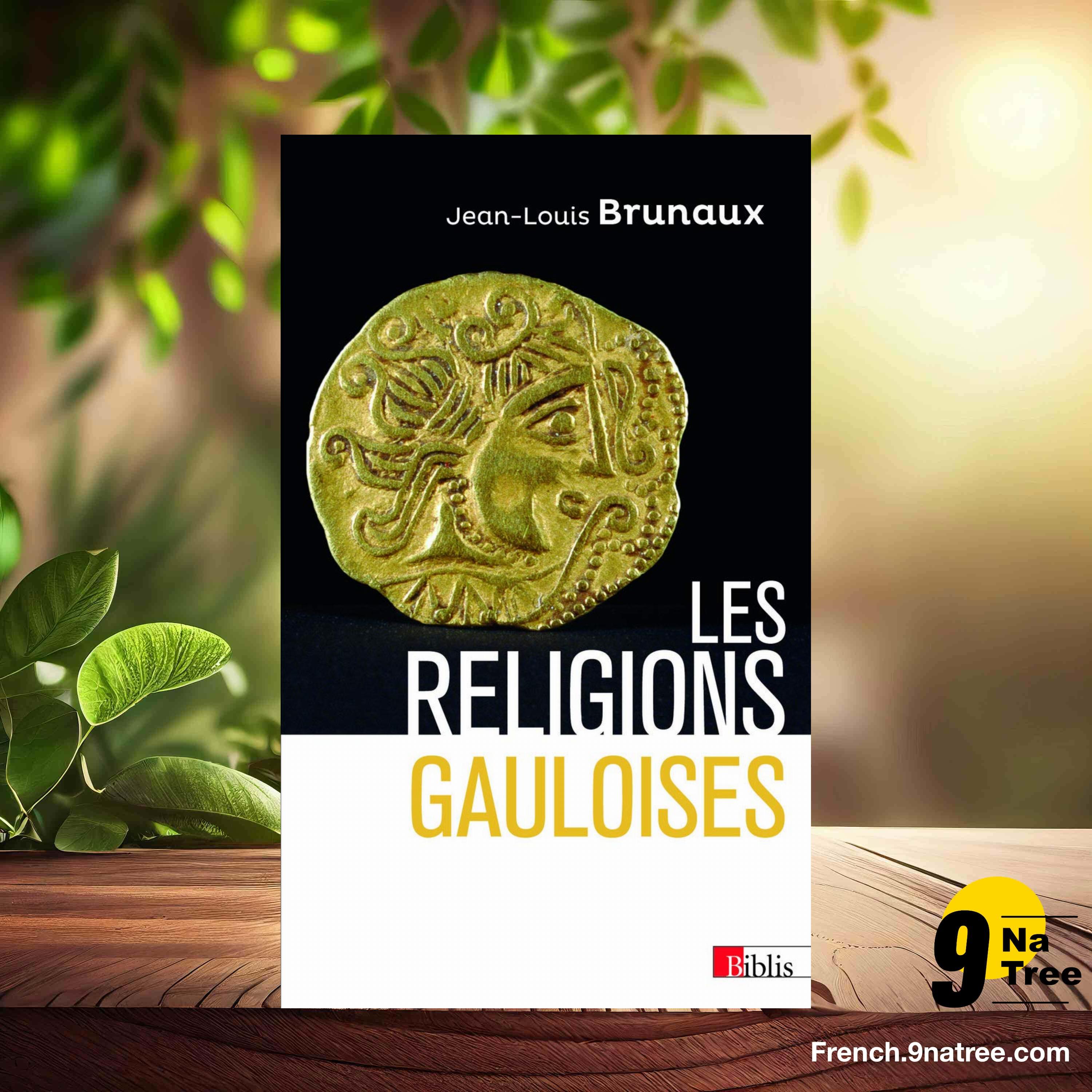 [Critique] Les religions Gauloises (Jean-Louis Brunaux) Résumé. episode artwork