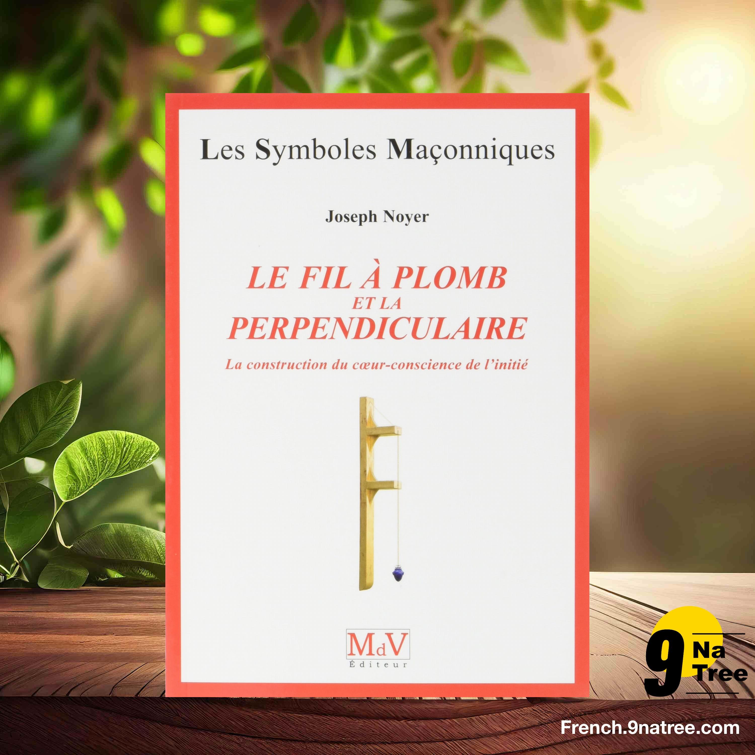 [Critique] Le fil à plomb et la perpendiculaire (Joseph Noyer) Résumé. episode artwork