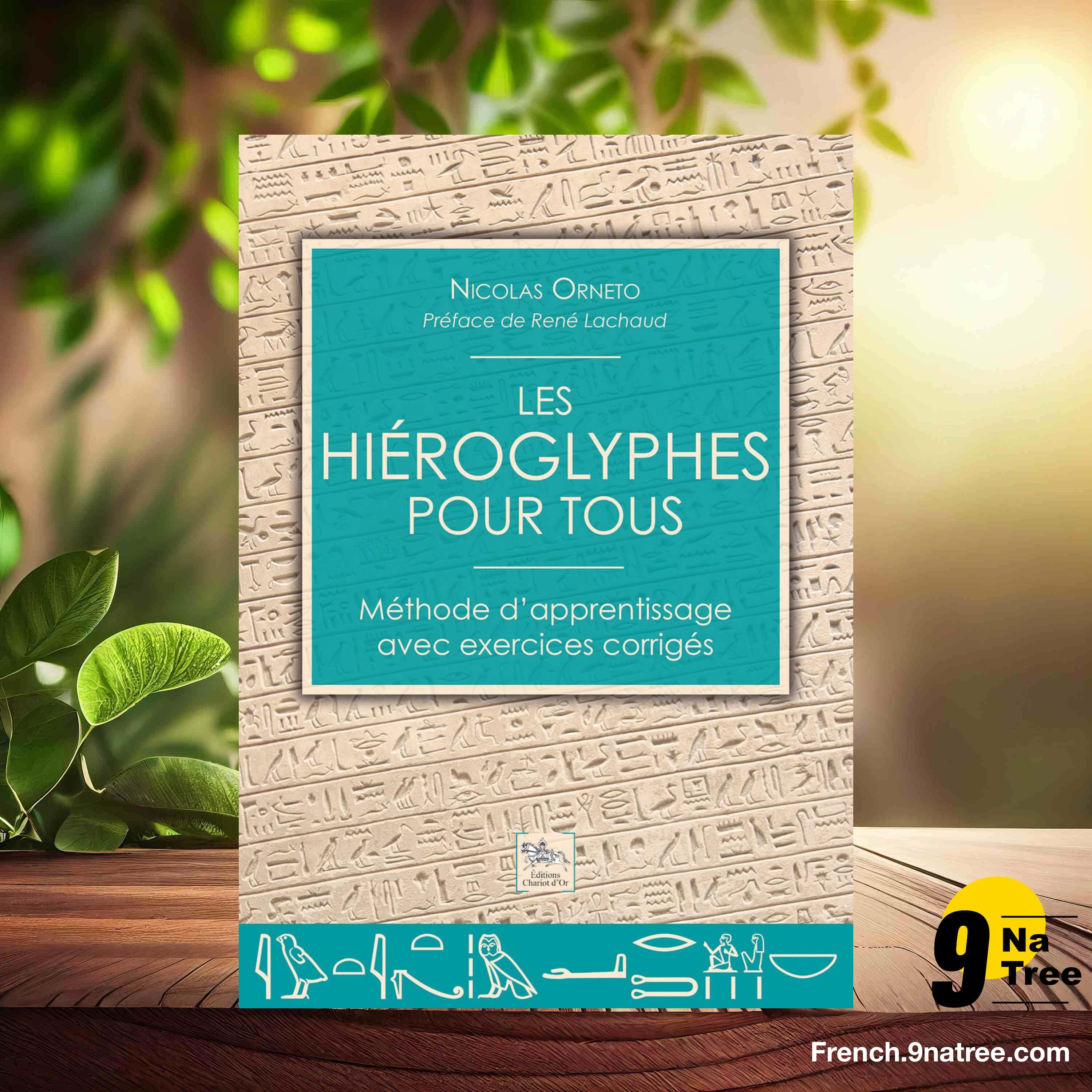 [Critique] Les hiéroglyphes pour tous - Méthode d'apprentissage avec exercices corrigés (Nicolas Orneto) Résumé. episode artwork