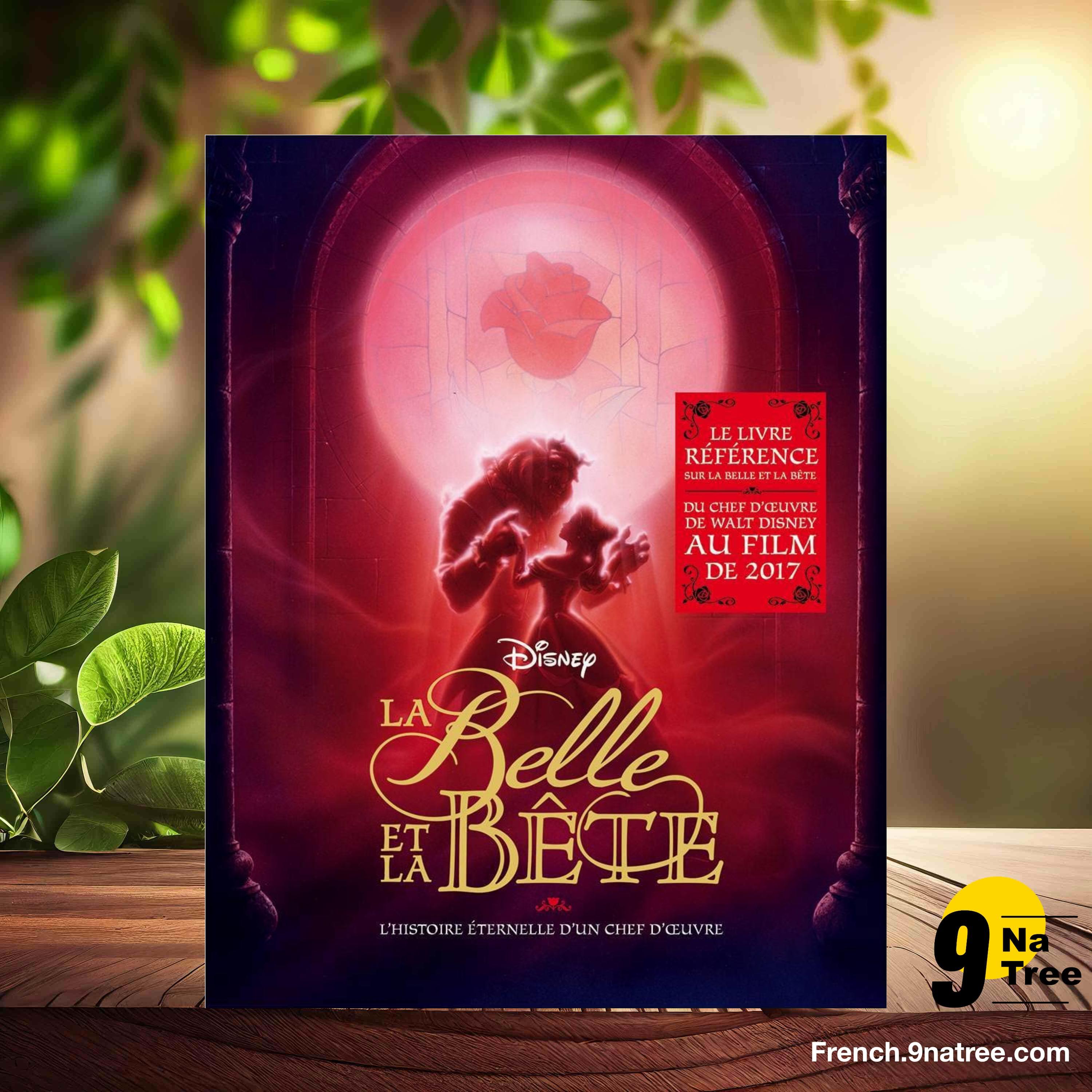 [Critique] La Belle et la Bête, l'histoire éternelle d'un chef-d'oeuvre (Charles Solomon) Résumé. episode artwork