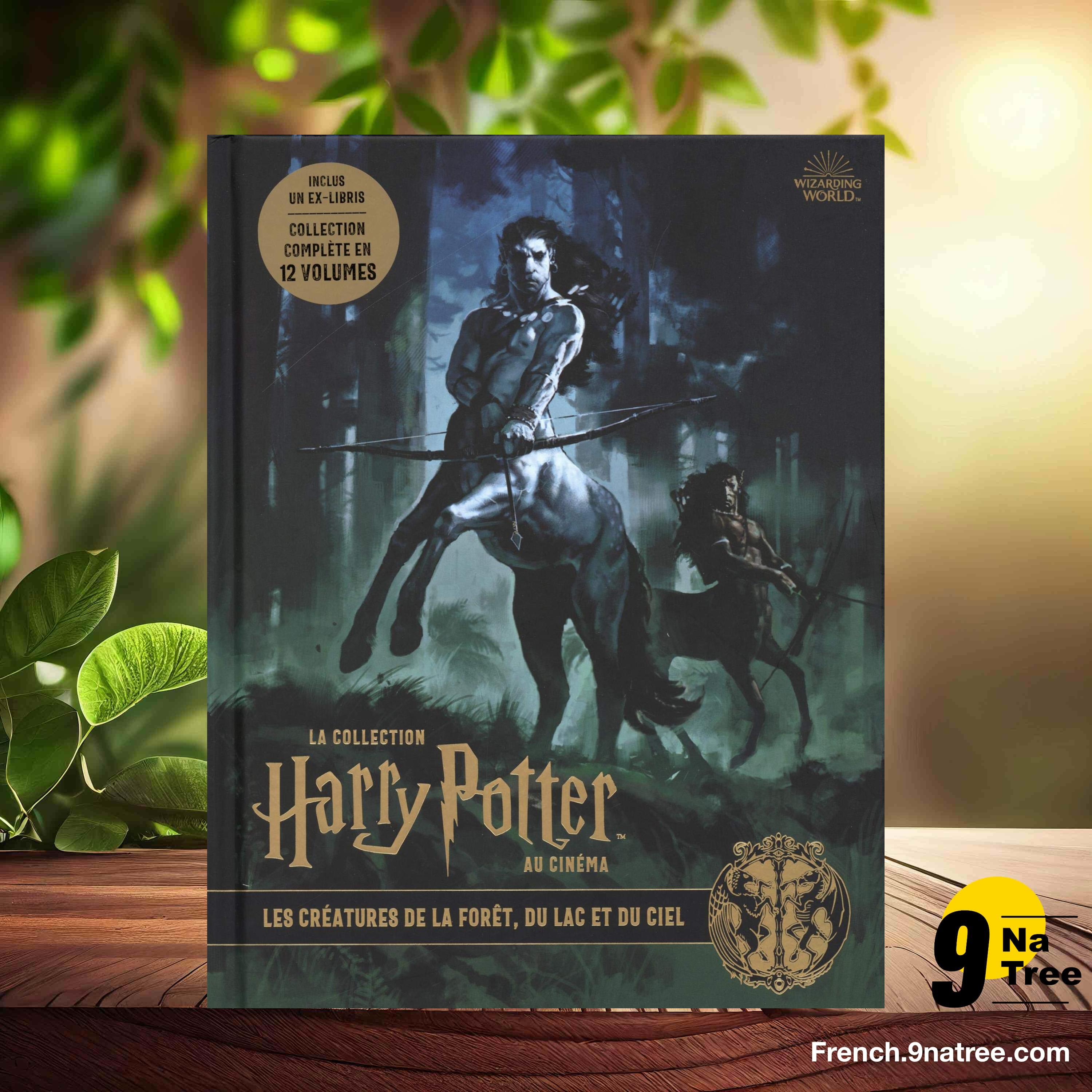 [Critique] La collection Harry Potter au cinéma, vol.1 (Jody Revenson) Résumé. episode artwork