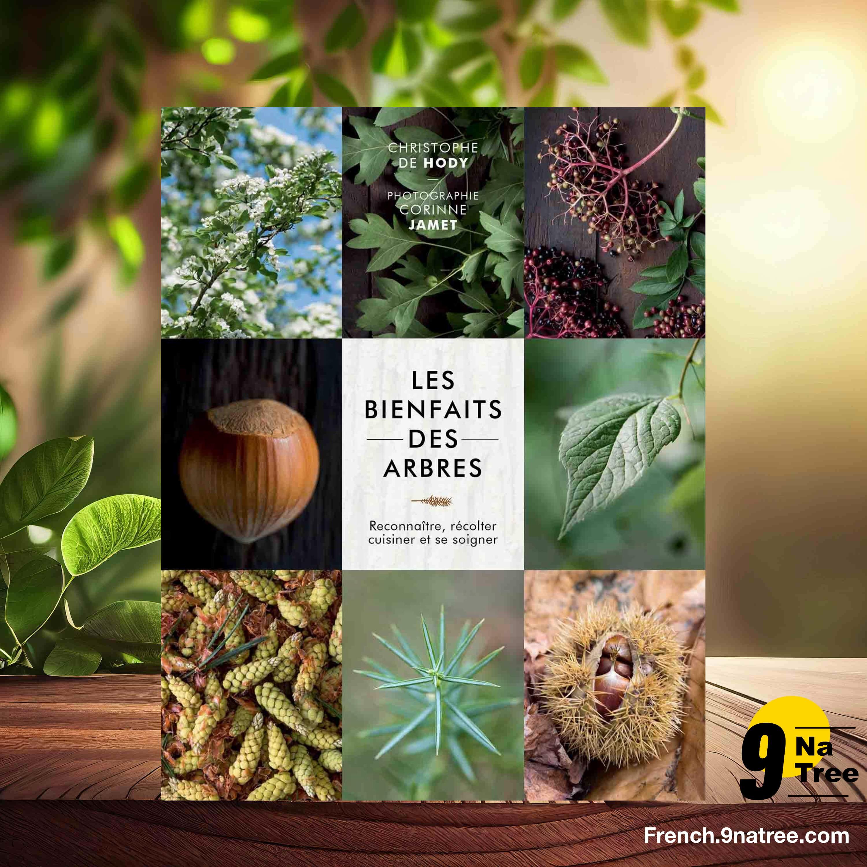 [Critique] Les bienfaits des arbres (Christophe De Hody) Résumé. episode artwork