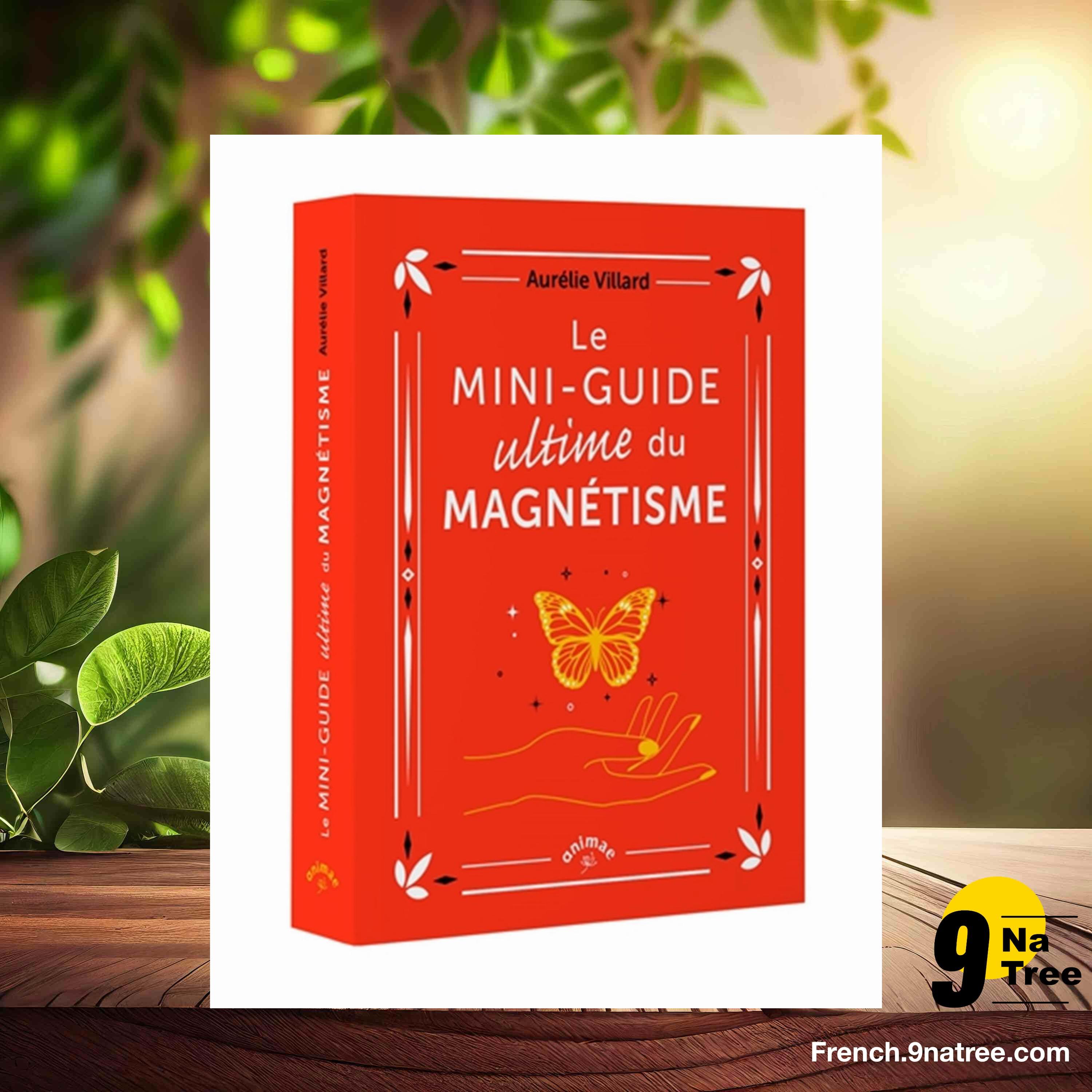 [Critique] Le Mini-guide ultime du magnétisme (Aurélie Villard) Résumé. episode artwork