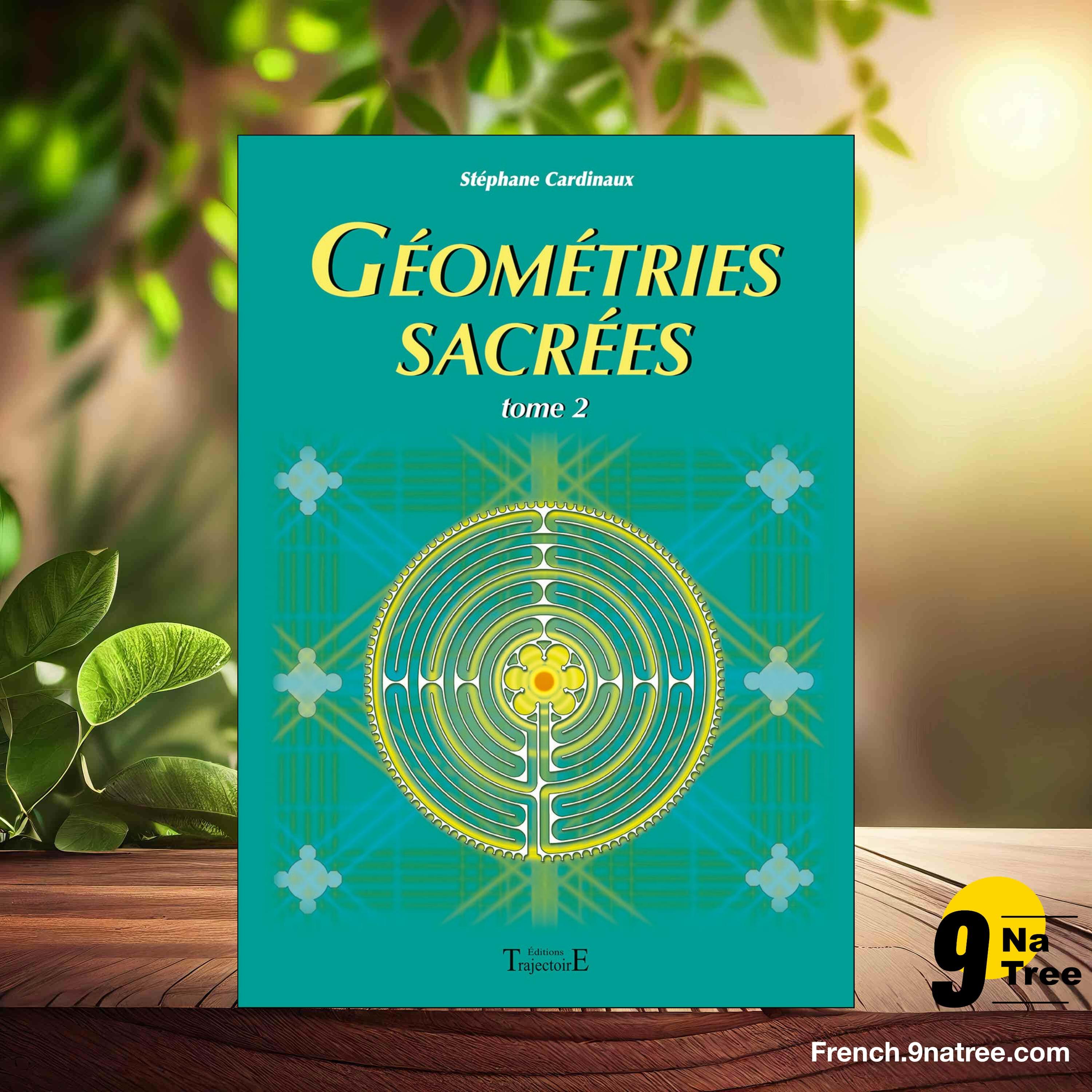 [Critique] Géométries sacrées Tome 2 (Stéphane Cardinaux) Résumé. episode artwork