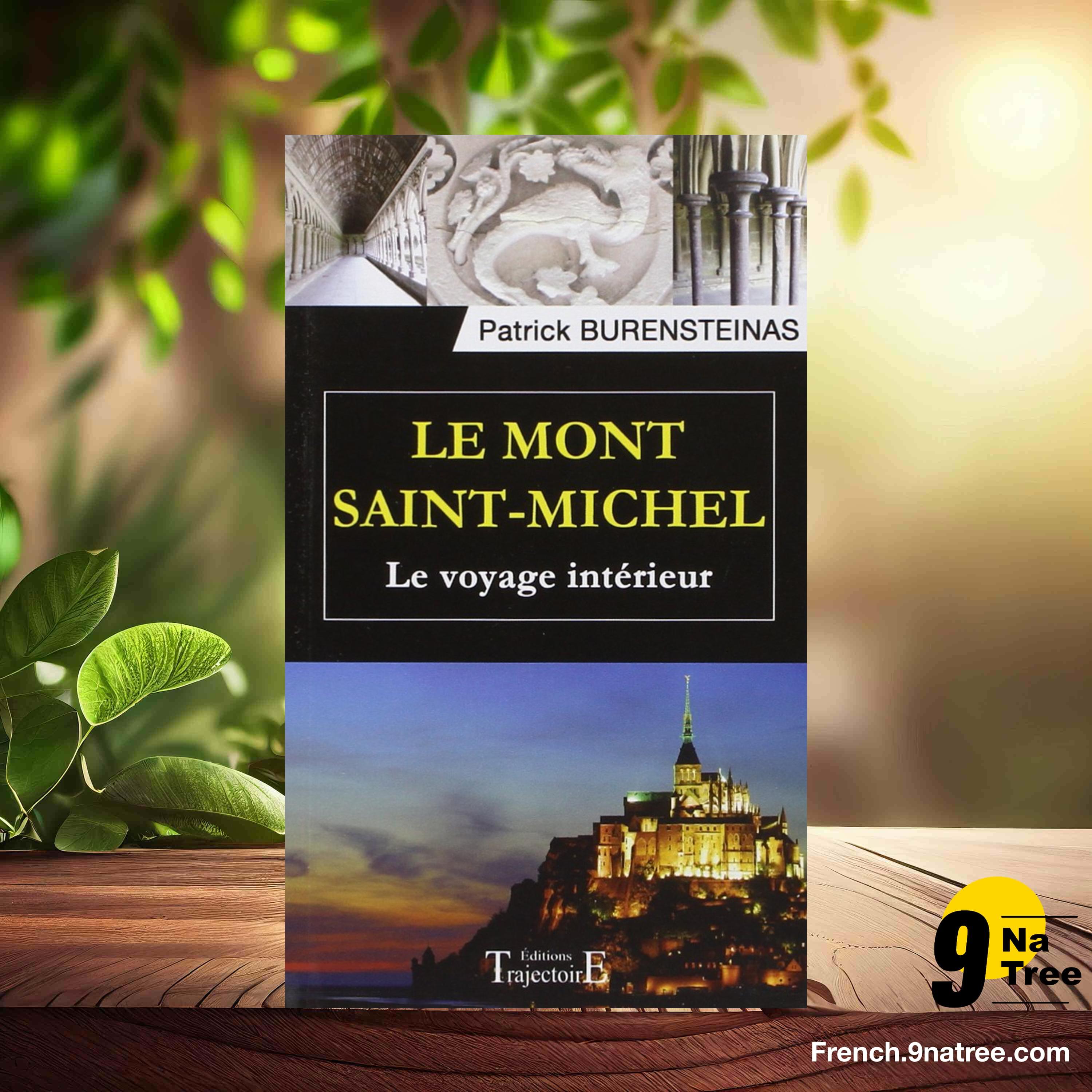 [Critique] Le Mont Saint-Michel - Le voyage intérieur (Patrick Burensteinas) Résumé. episode artwork