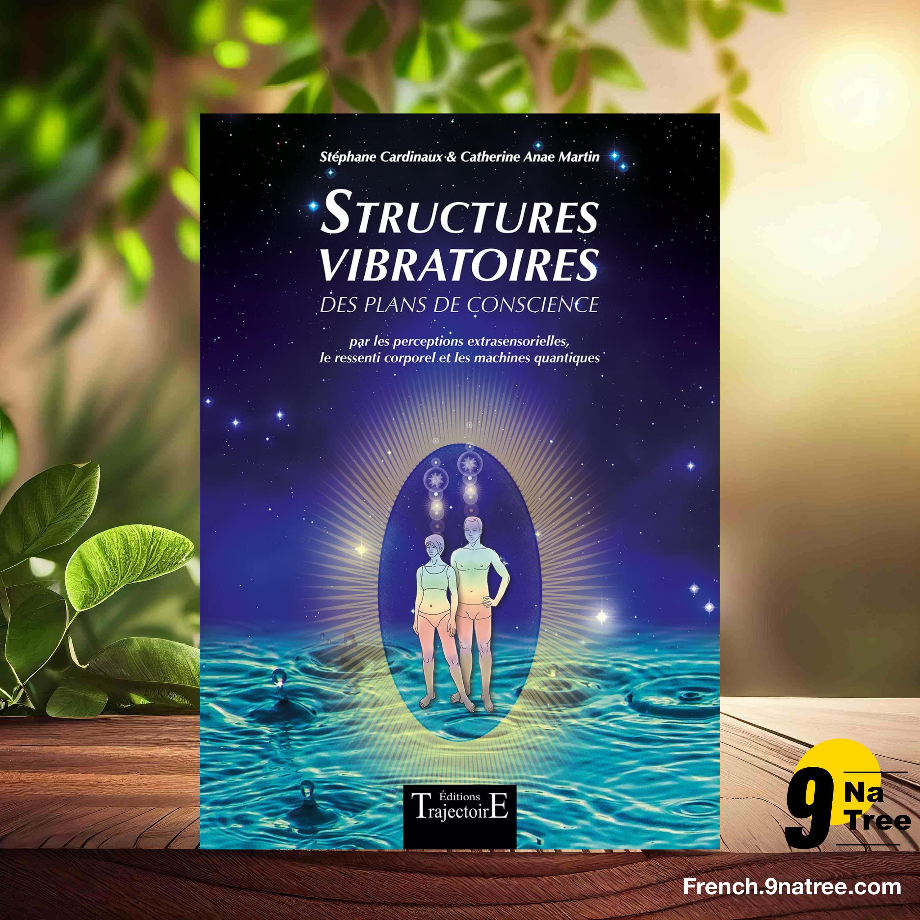 [Critique] Structures vibratoires des plans de conscience (Stéphane Cardinaux) Résumé. episode artwork