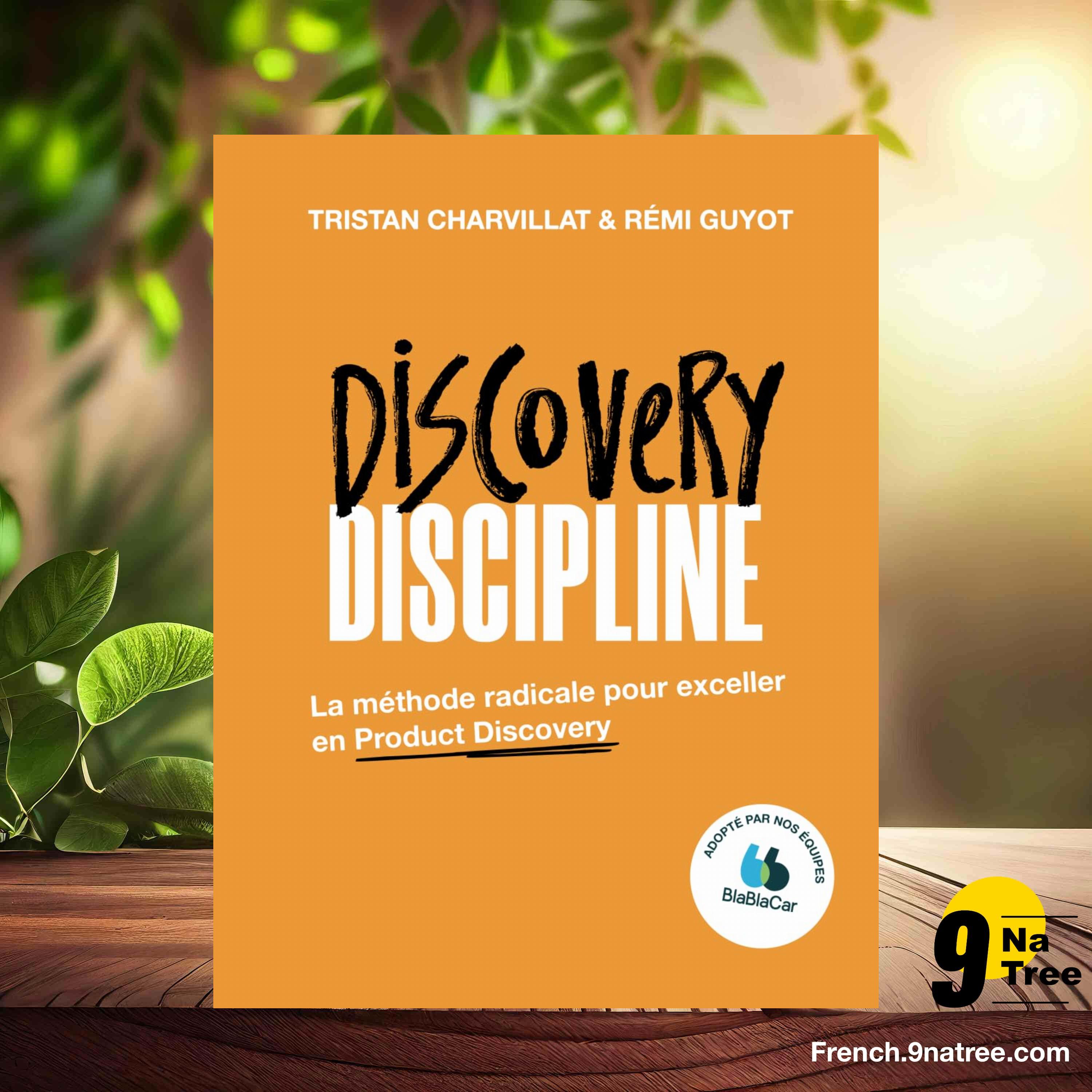 [Critique] Comment utiliser le storytelling en copywriting et en marketing (Christian H. Godefroy) Résumé. episode artwork