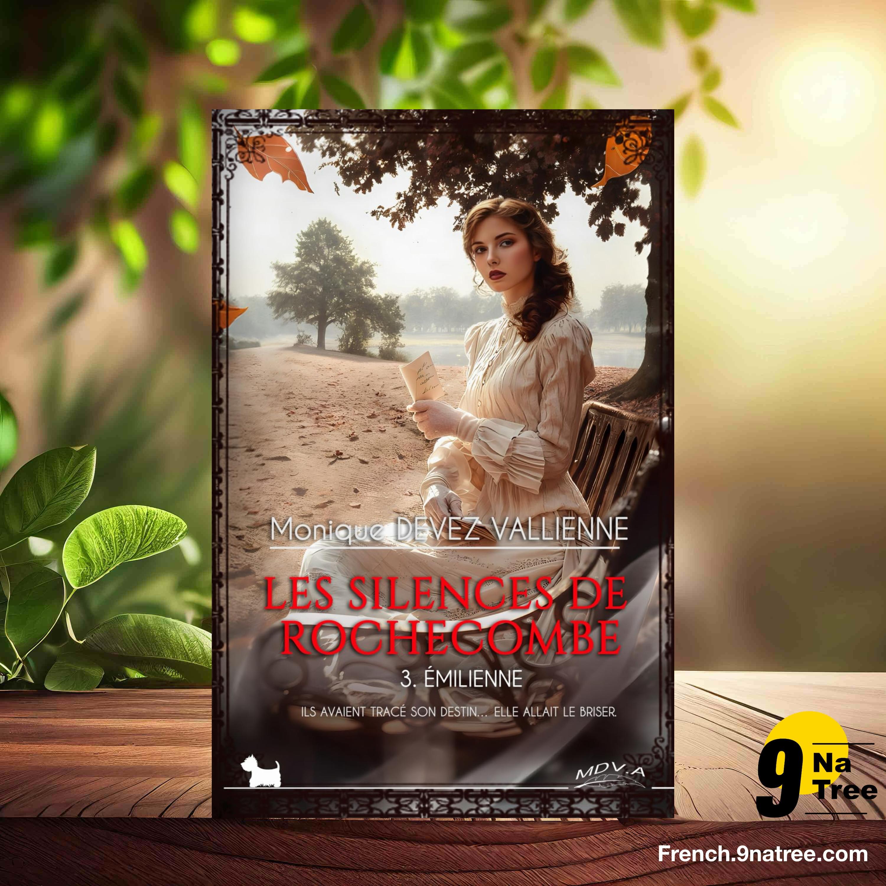 [Critique] Les silences de Rochecombe - 3. Émilienne (Monique DEVEZ VALLIENNE) Résumé. episode artwork