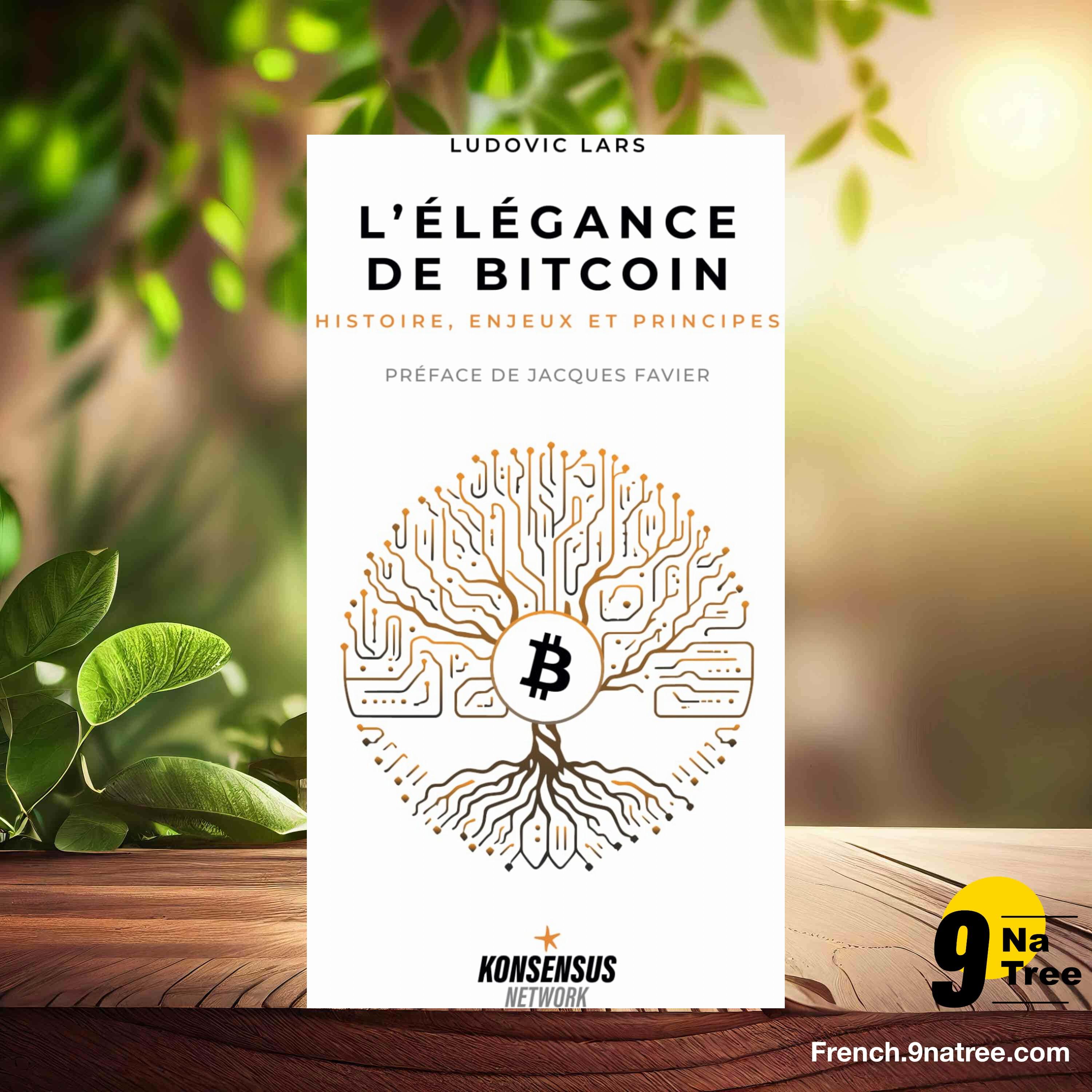 [Critique] L’Élégance de Bitcoin: Histoire, enjeux et principes (Ludovic Lars) Résumé. episode artwork