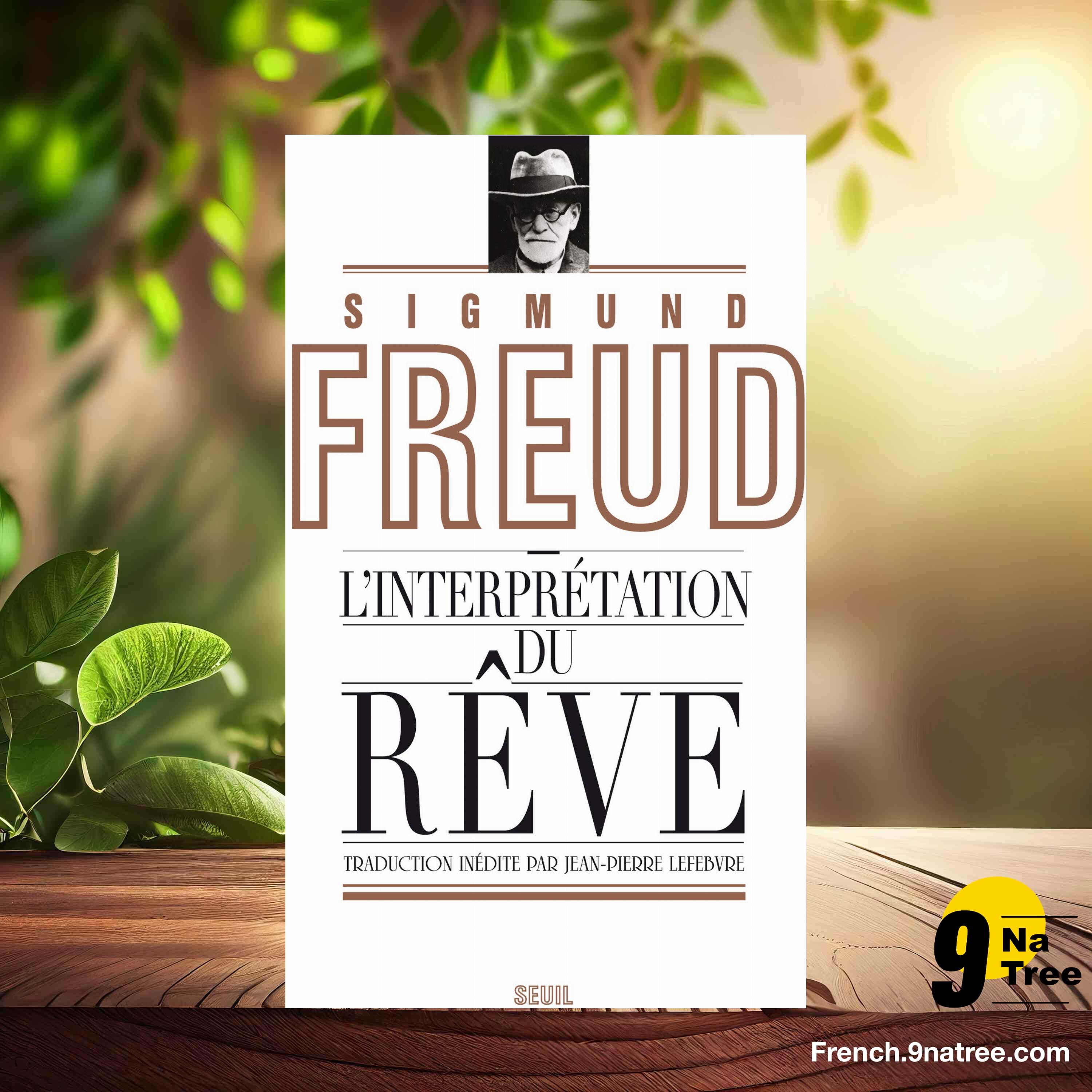 [Critique] Ma vie: Souvenirs, rêves et pensées (Carl Gustav Jung) Résumé. episode artwork