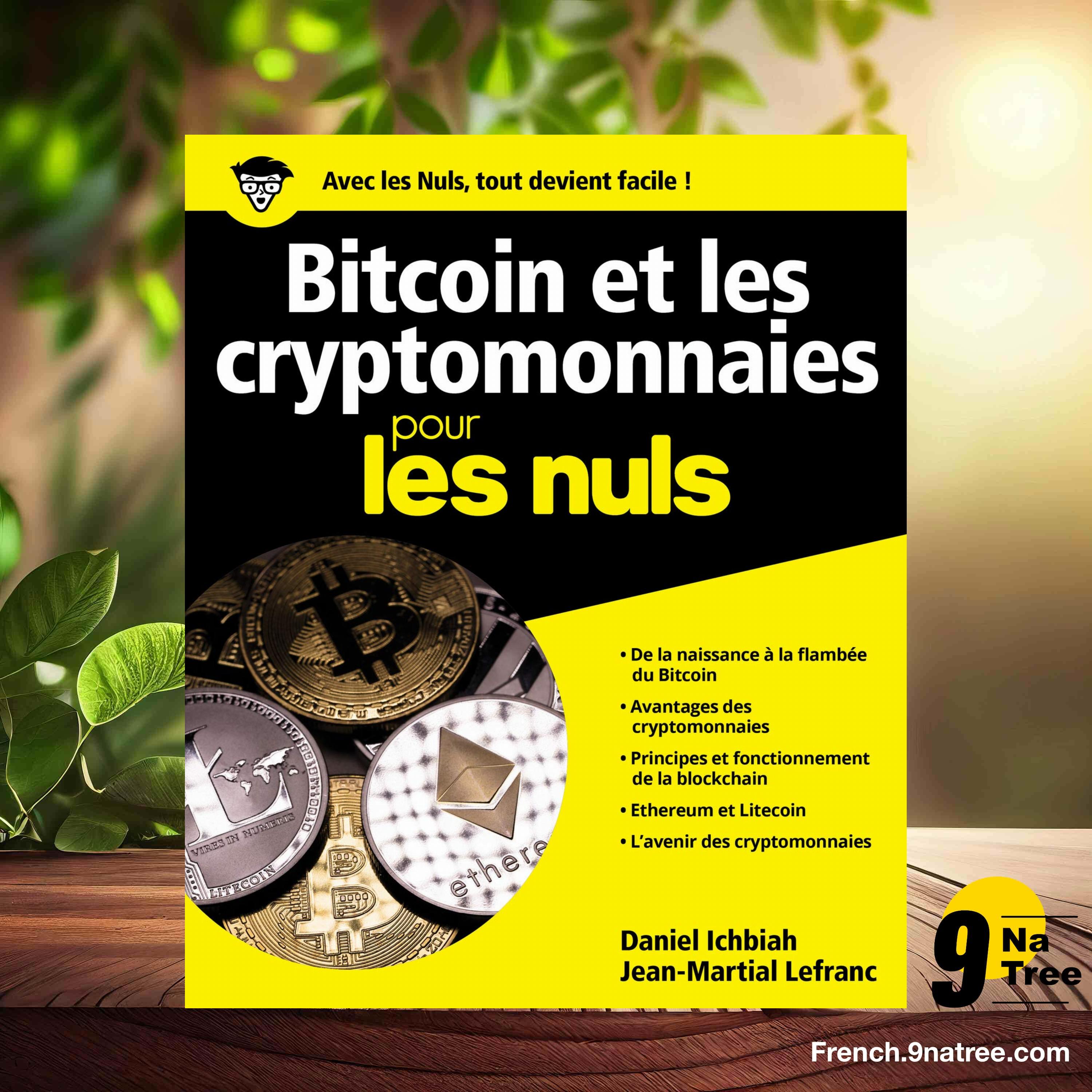[Critique] Bitcoin et cryptomonnaies pour les nuls (Daniel Ichbiah) Résumé. episode artwork