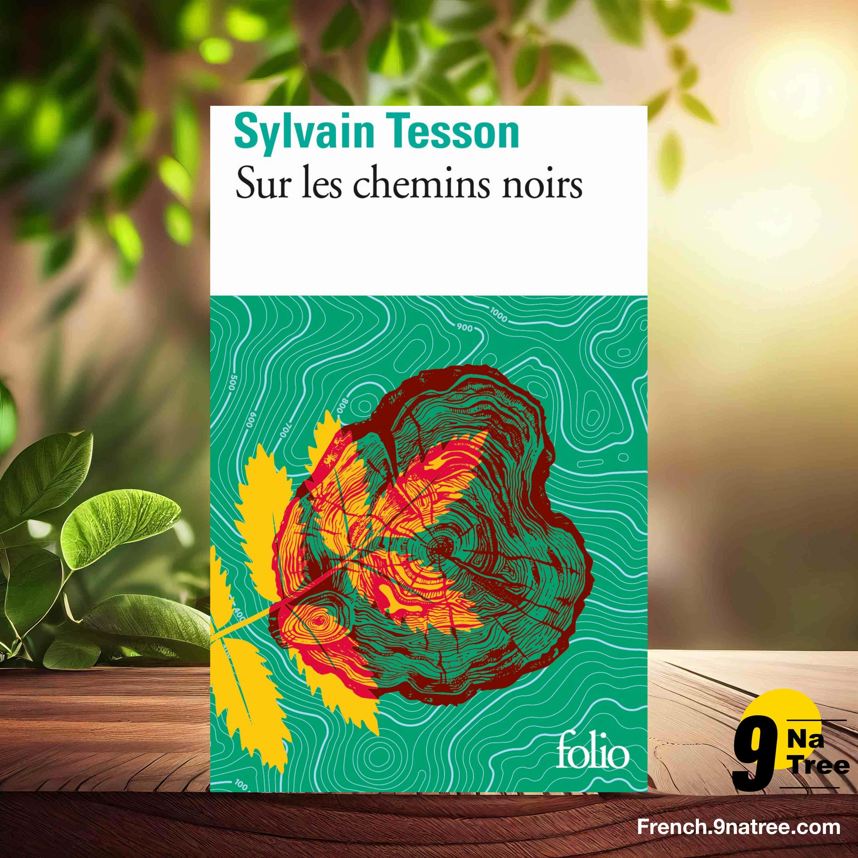 [Critique] Sur les chemins noirs (Sylvain Tesson) Résumé. episode artwork