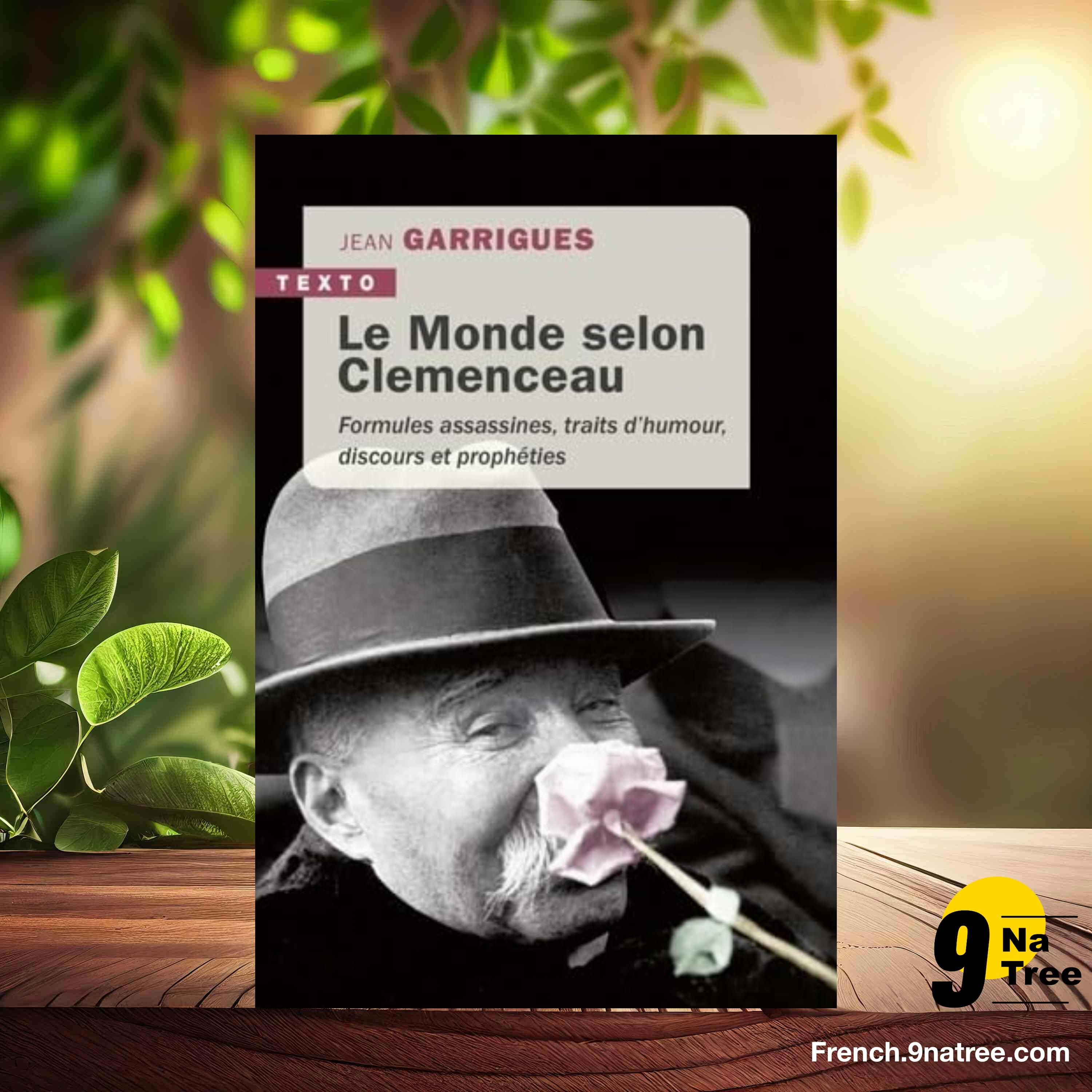 [Critique] LE MONDE SELON CLÉMENCEAU (Jean Garrigues) Résumé. episode artwork