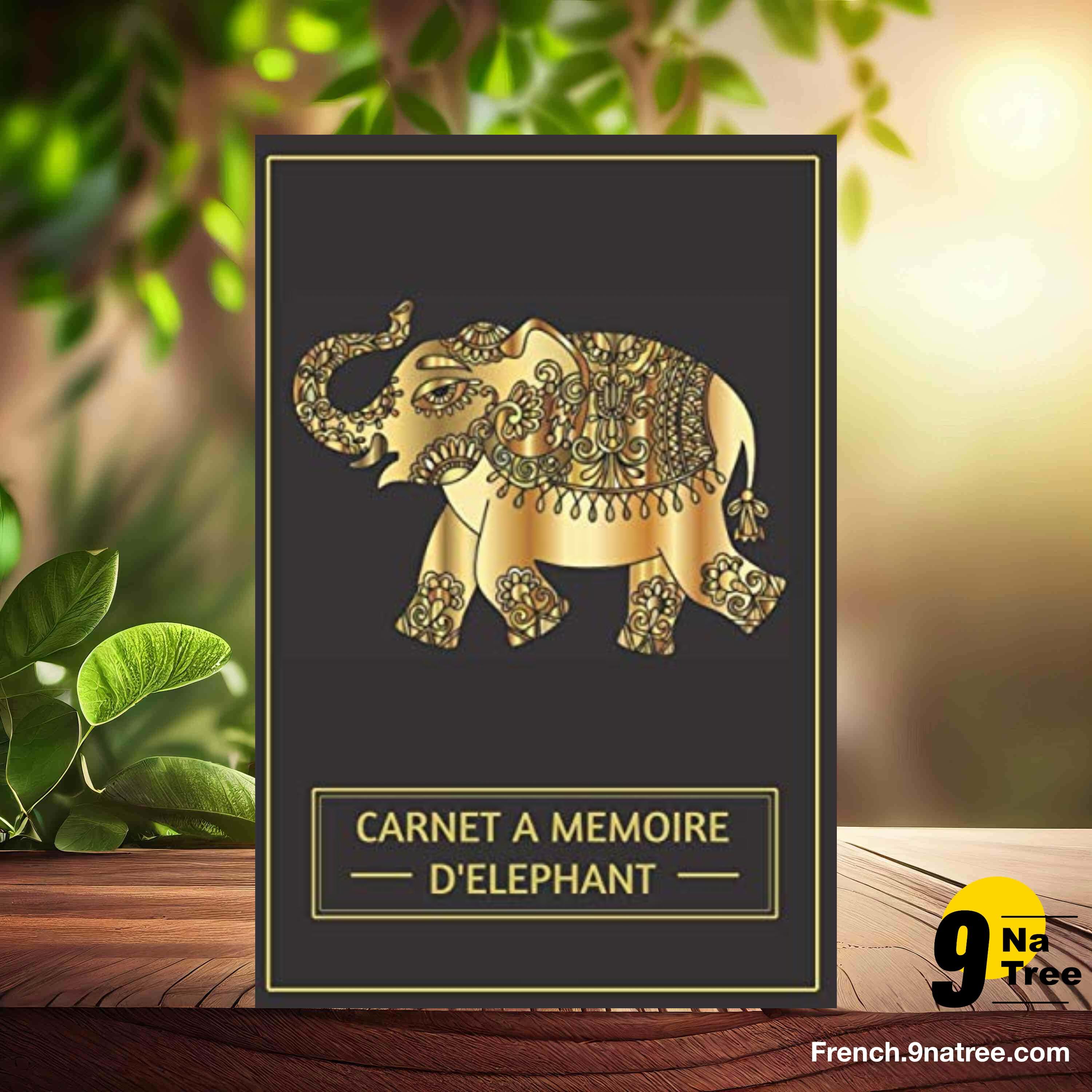 [Critique] CARNET A MEMOIRE D'ELEPHANT (Les Mots de Passe de Mus) Résumé. episode artwork