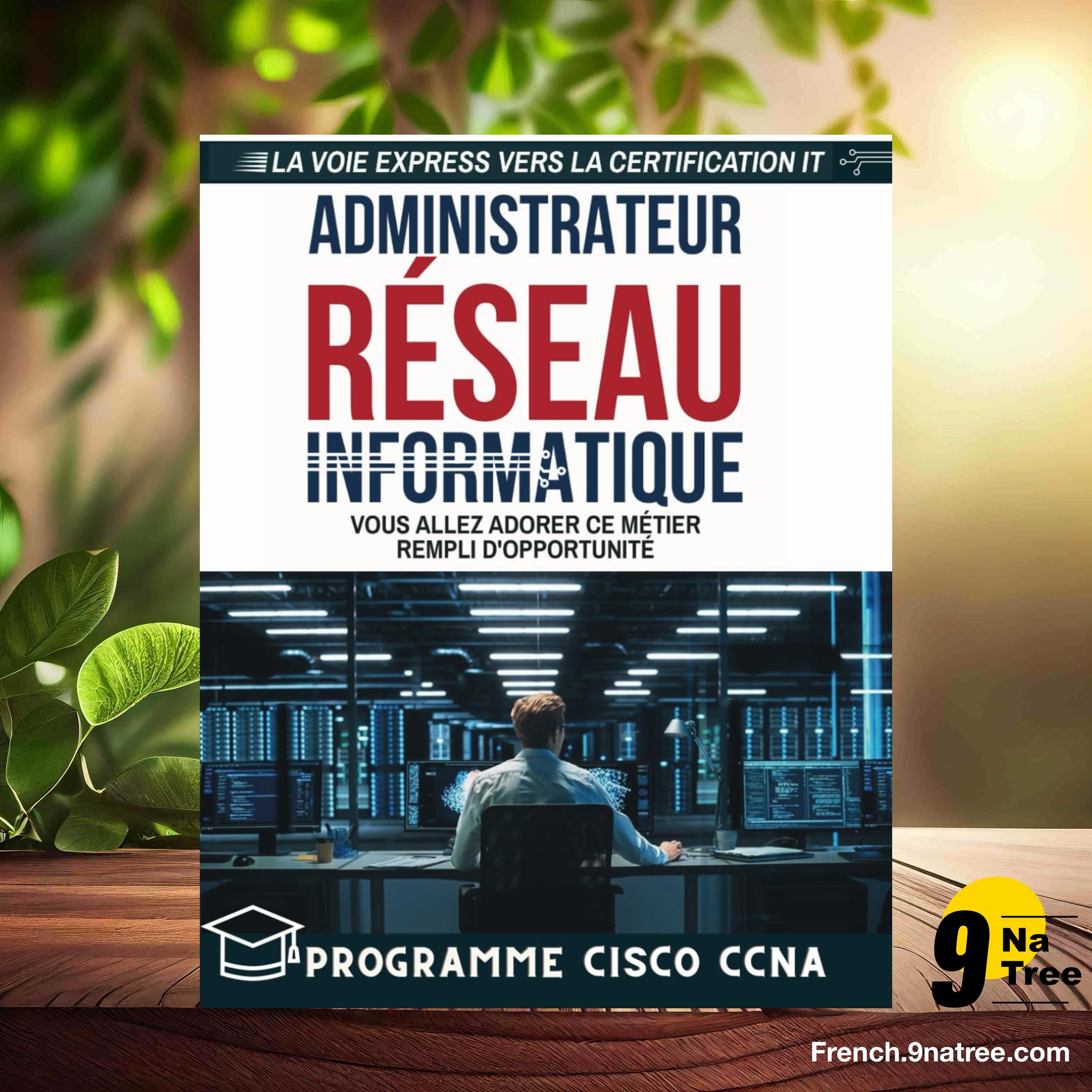 [Critique] Administrateur réseau (Damien Soulages) Résumé. episode artwork